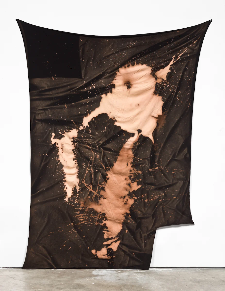   Untitled,&nbsp; 2010, Bleach on cotton jersey and push pins, approx. 87 x 68" 