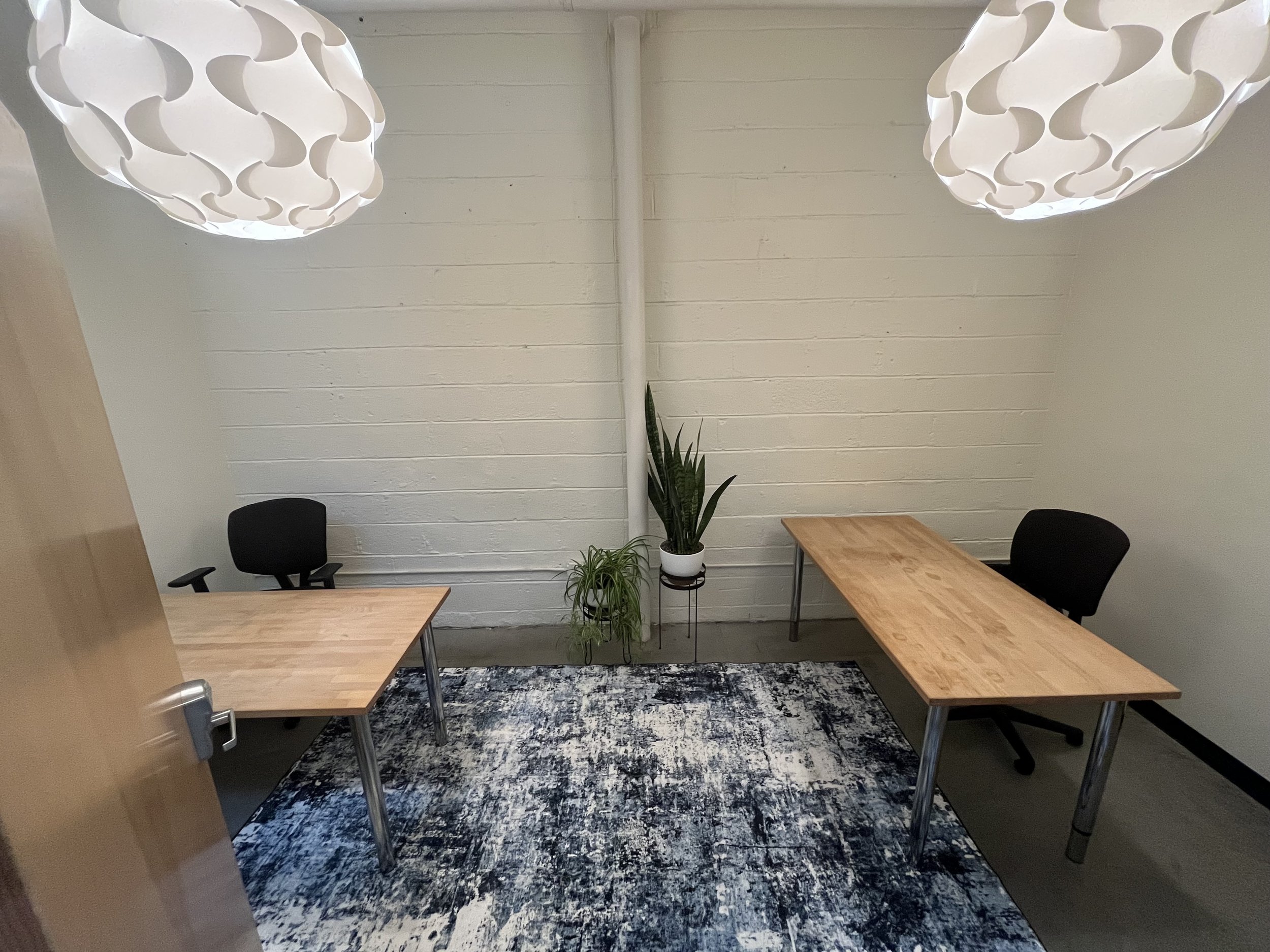 Suite203_1 copy.jpg