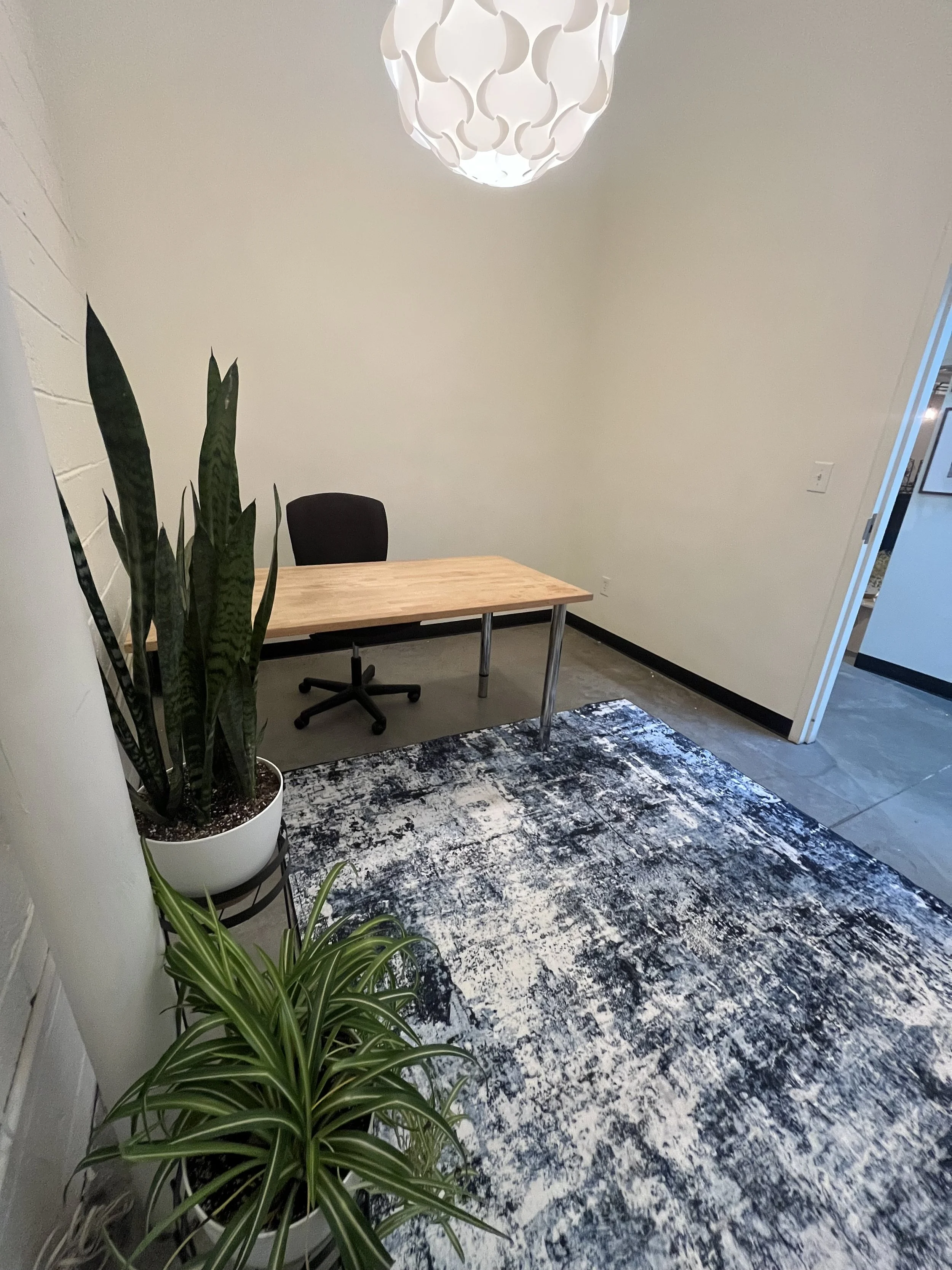 Suite203_2 copy.jpg
