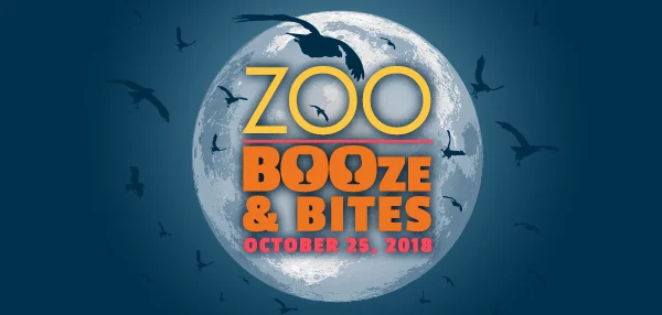 ZooBOOze-CC-header.jpg