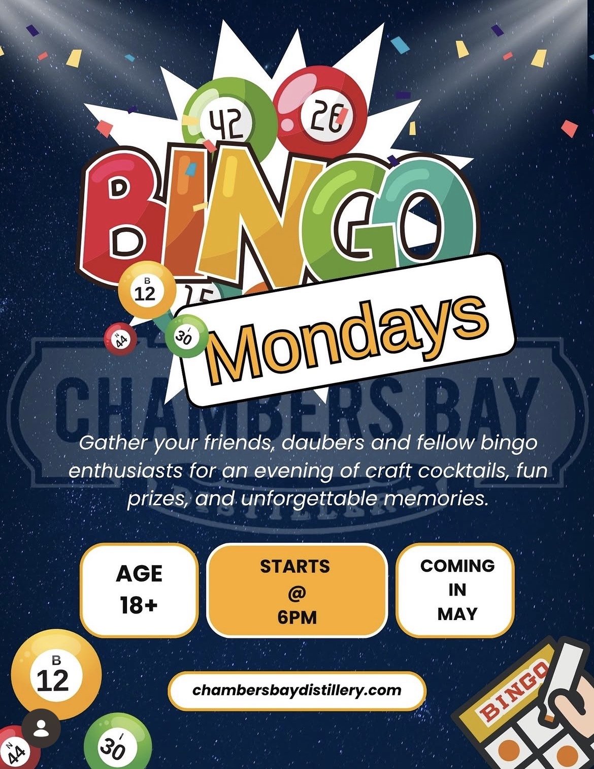 BINGO NIGHT