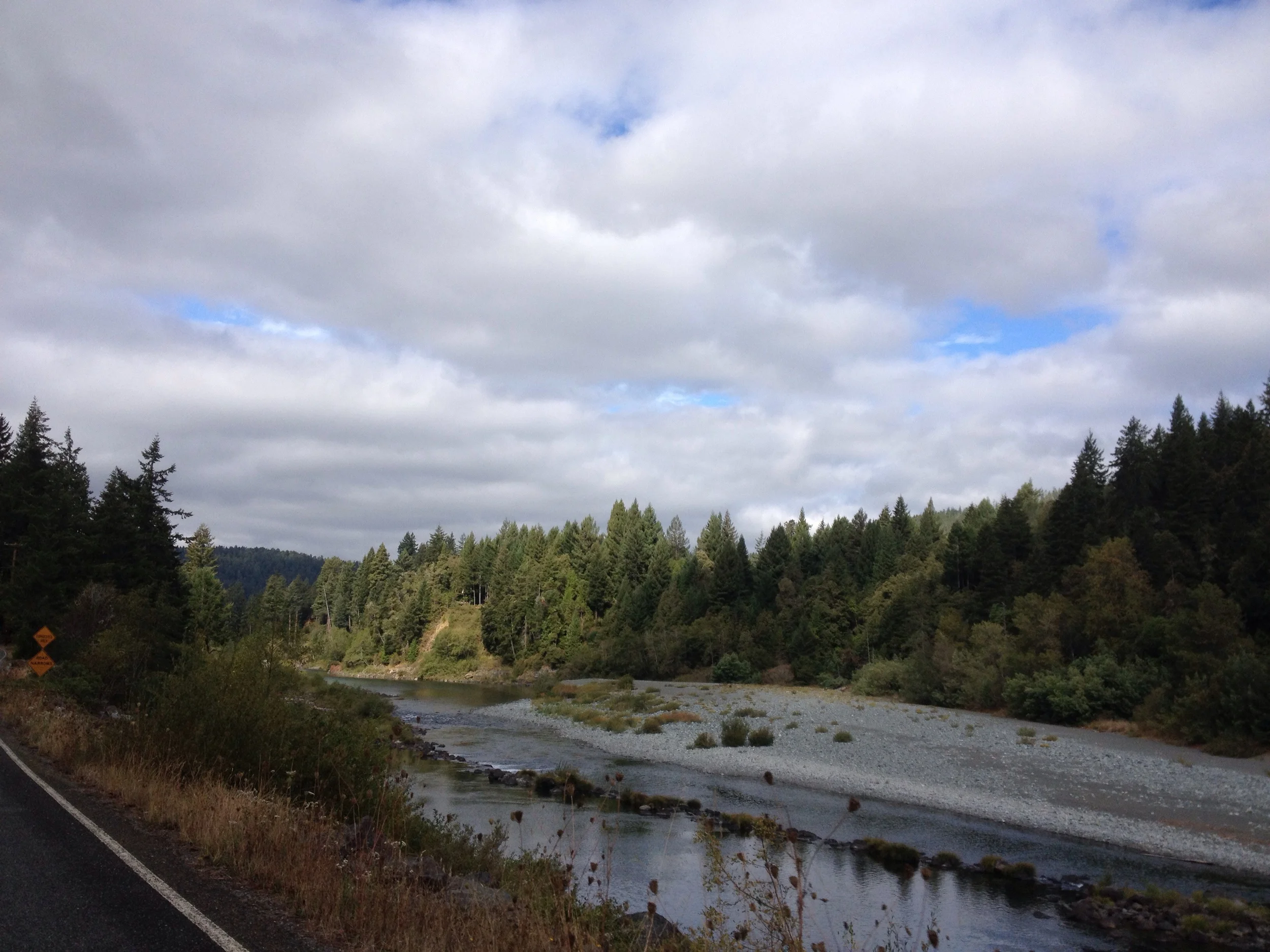 Day Three: Jedidiah Smith Redwood Forest