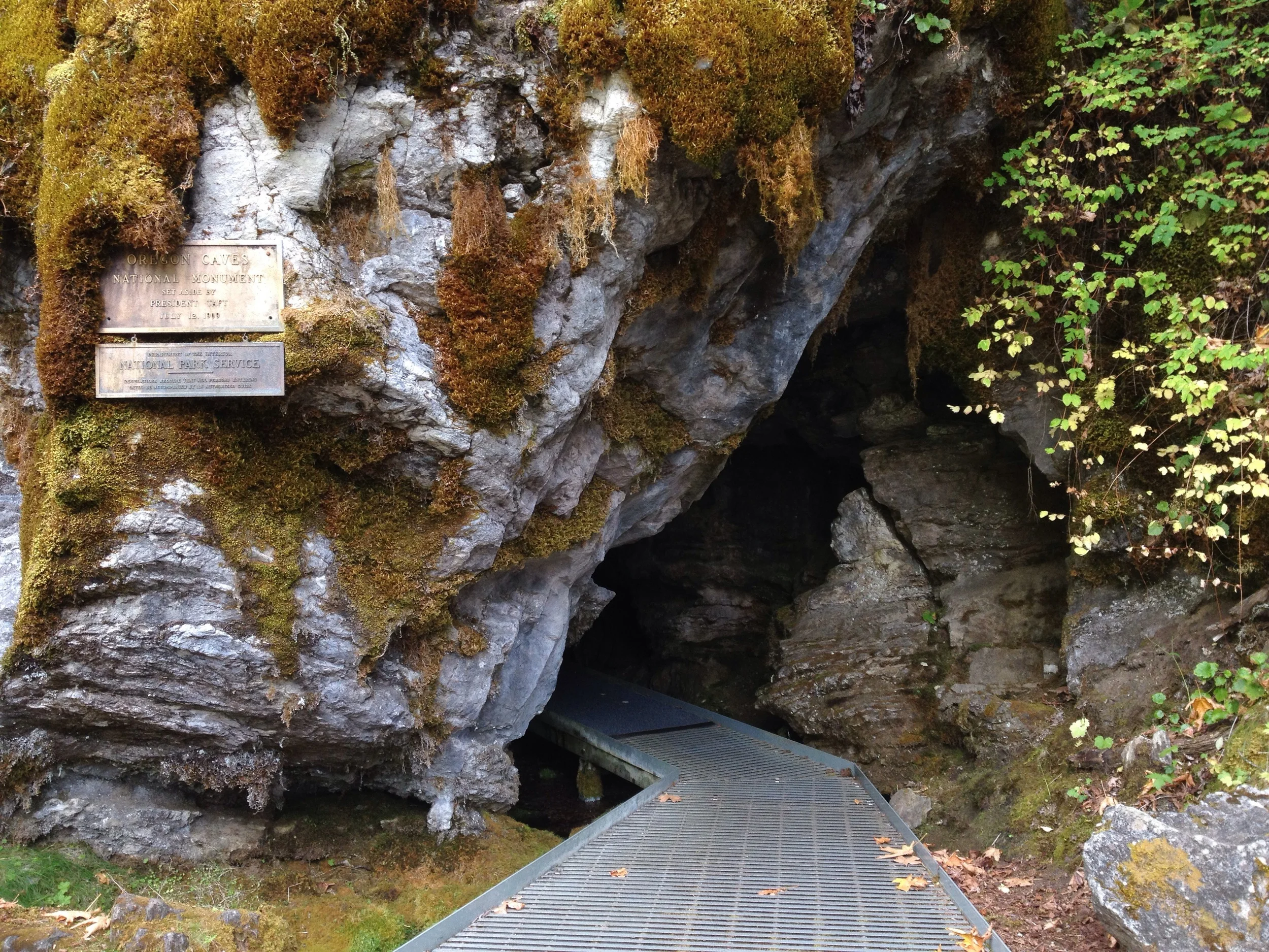 Day Three: Oregon Caves National Monument 