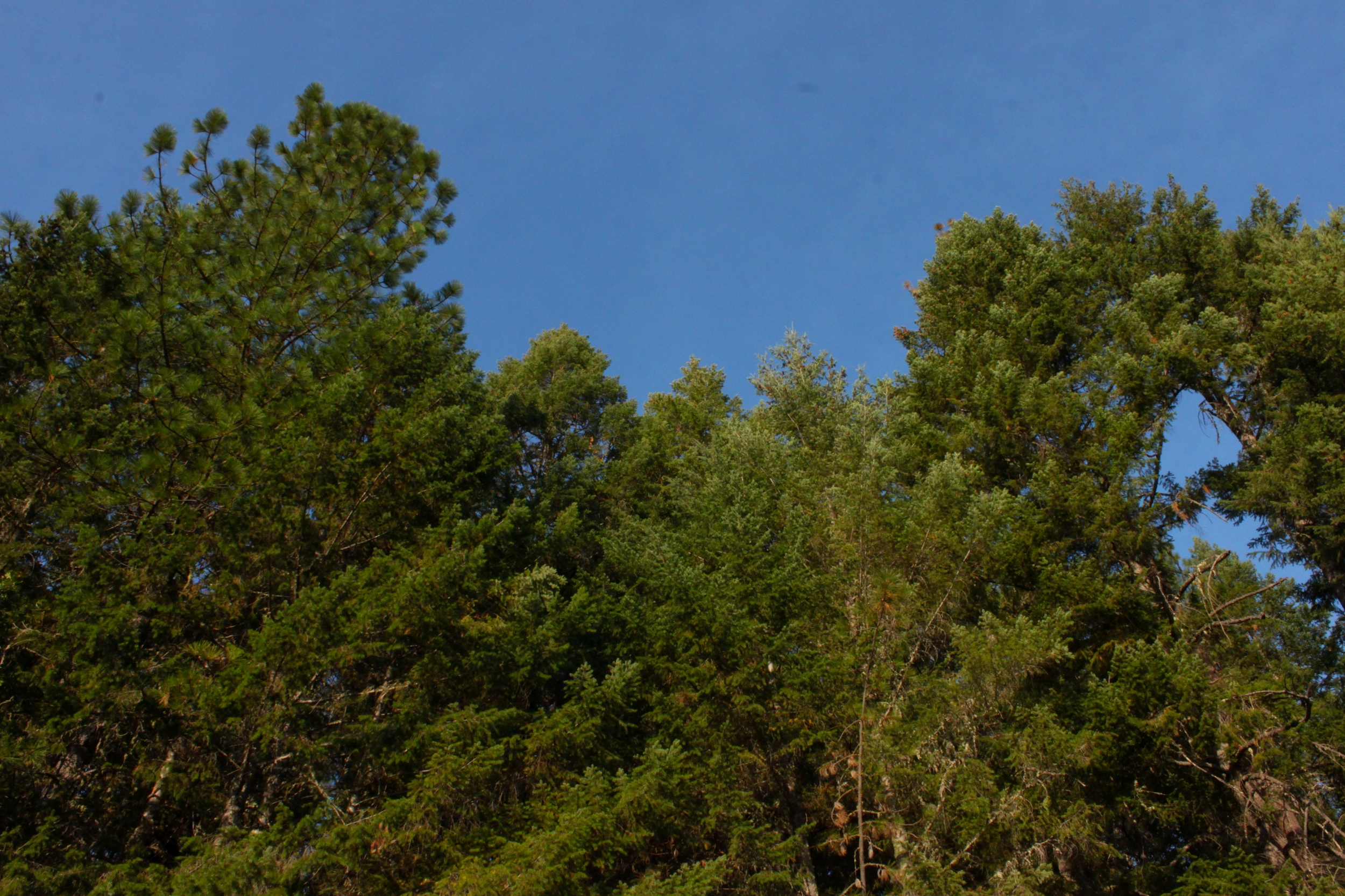 Mary Smith Campground