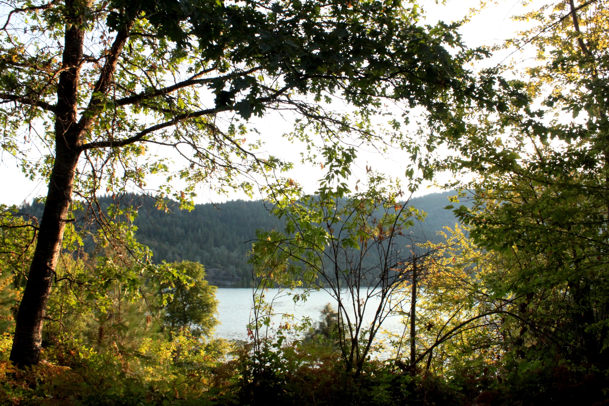 Mary Smith Campground