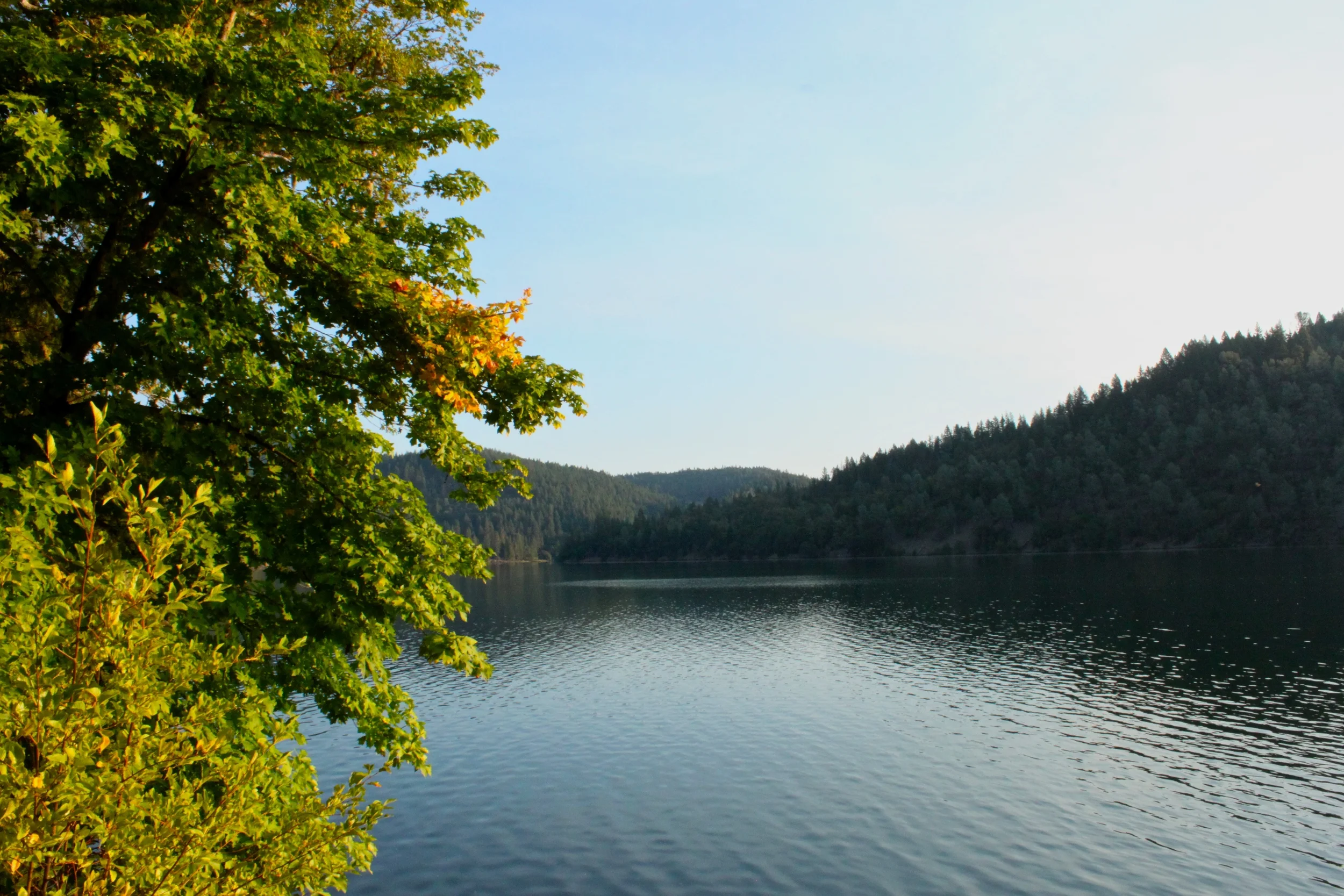 View of Lewiston Lake at Mary Smith Campground