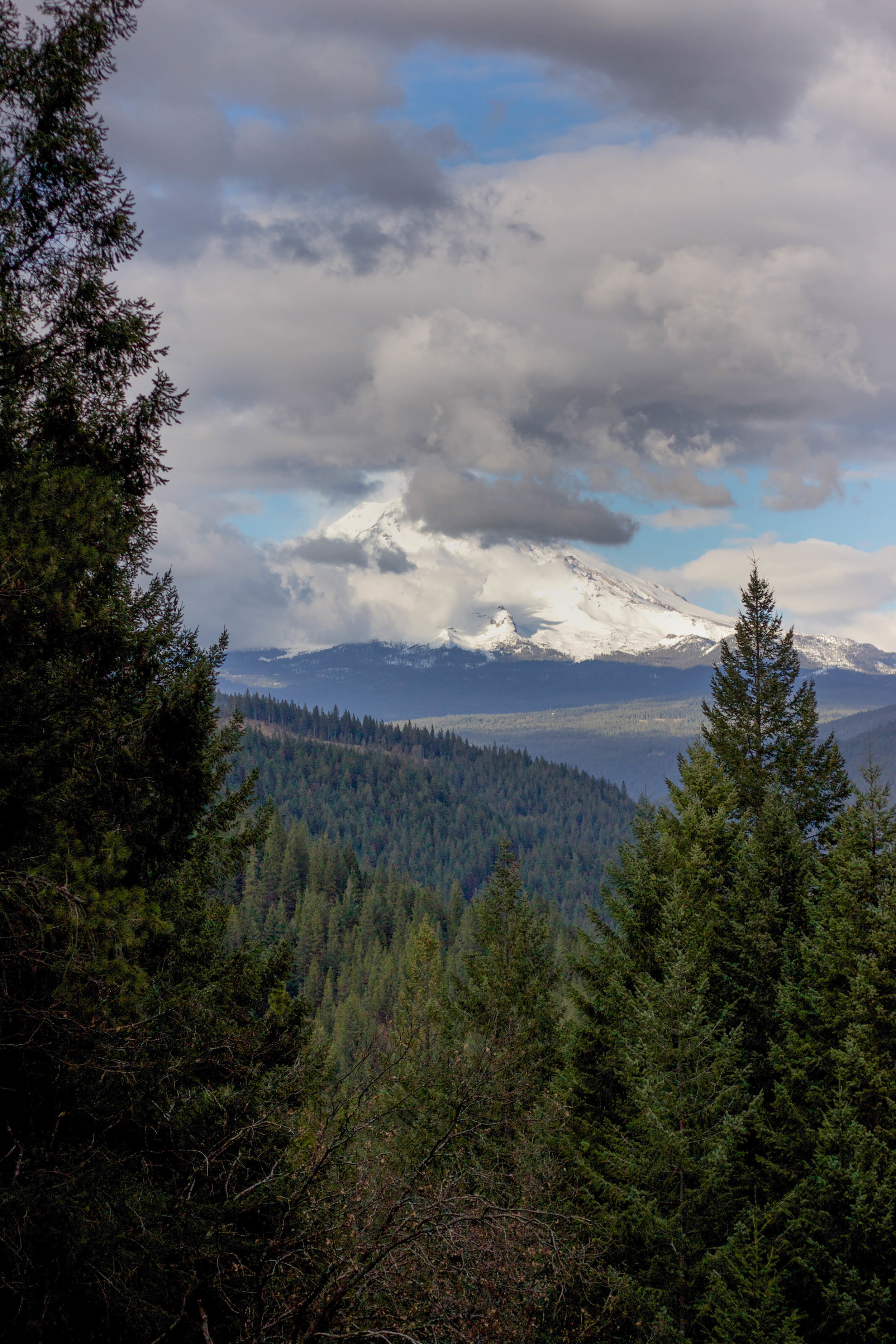 Mt. Shasta