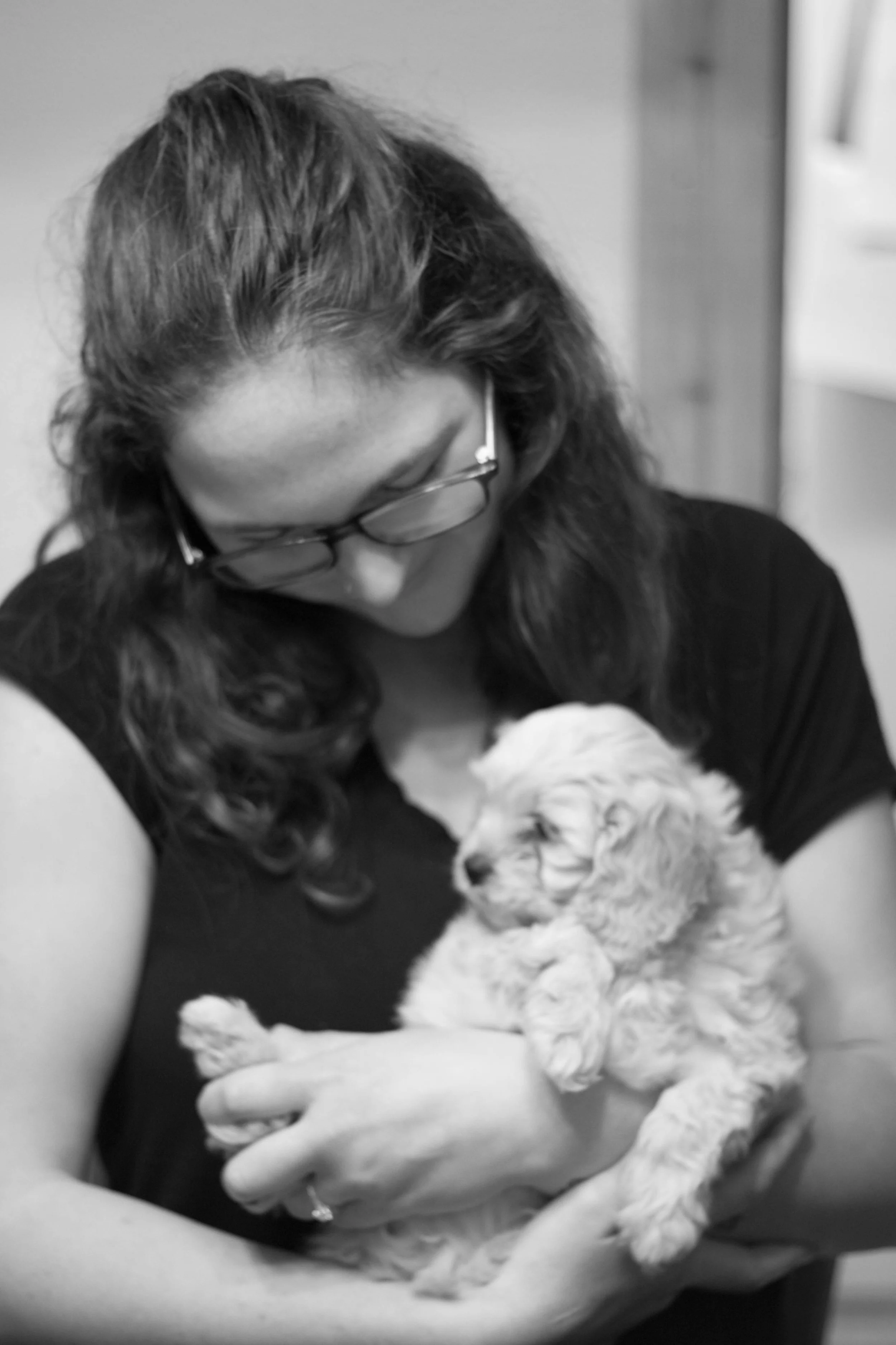 puppies-22.jpg