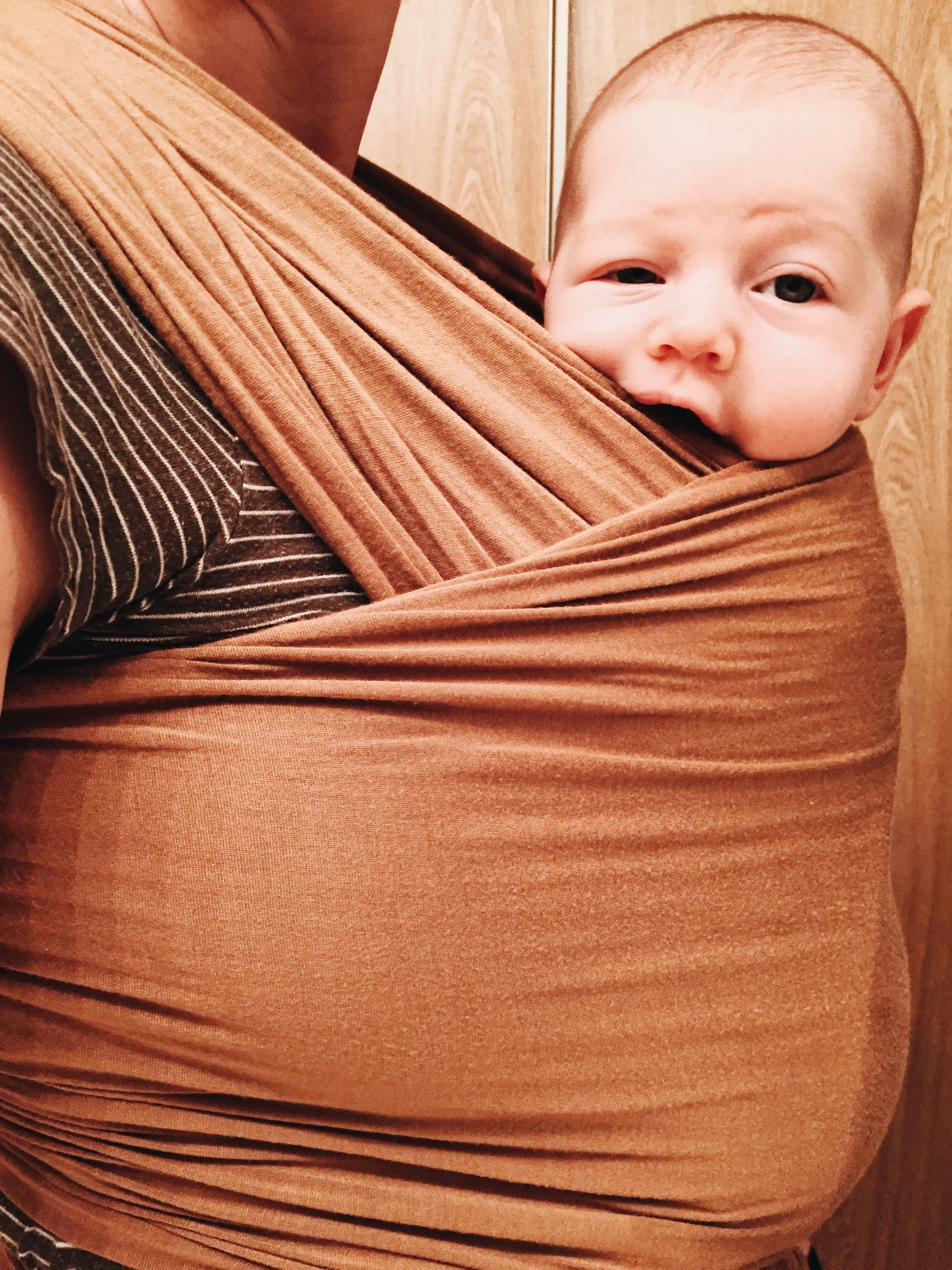 9.25.17loves chewing on the right side of our carriers