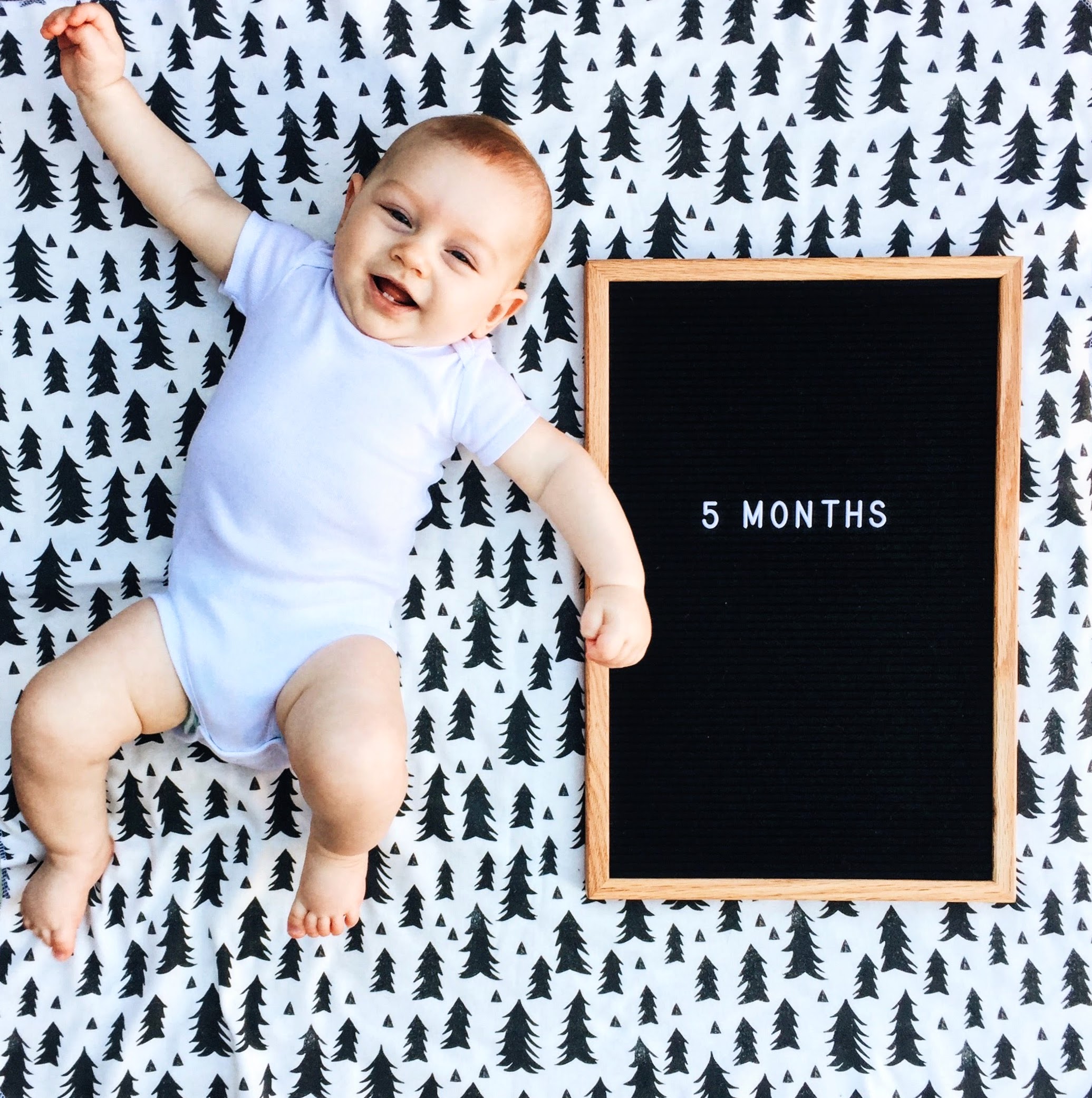 This has been one busy month! Gideon experienced his first move, first flight, and first cold all in the same week – that was a doozy. He started grabbing his feet at the beginning of the month and now can’t stop. He particularly likes the challenge of holding one foot steady so he can chew on his big toe! And he usually ends up rocking side to side which has begun the rolling from back to belly, although he’s not quite there yet – he usually gets stuck before he makes it all the way. He finally started understanding the concept of tickling and has the absolute best baby laugh. Hands are still always in his mouth, that or Sophie the giraffe (They really knew what they were doing when they engineered that toy - G loves her!) He reaches for everything in sight (he swiped a full glass of water off the table once) and is definitely interested in food, although we haven’t introduced anything yet. He did try my banana the other day - he was adorably confused by the taste. Bath time is a highlight of his day and he has figured out the joys of splashing. He’s also begun to notice Gus’s presence in the house – that dog knows how to put on a good show for Gideon! And he’s become quite the babbler. My favorite is how he wakes up so happy in the morning with a loud “bah bah bah”. Another favorite this month is how affectionate he is when he nurses. He gently strokes my chest or rests his hand on my face. I usually grab it and kiss his palm and he always reaches for more - it is the sweetest thing. Our bond has gotten so much stronger this month. But he is definitely a daddy’s boy! That man can make him smile! We love getting to know our little boy! (3-6 month onesie)