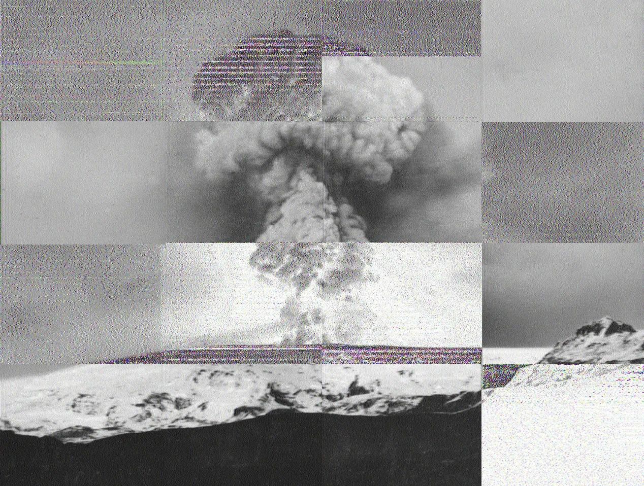 Image_3_RT_1_crop.jpg
