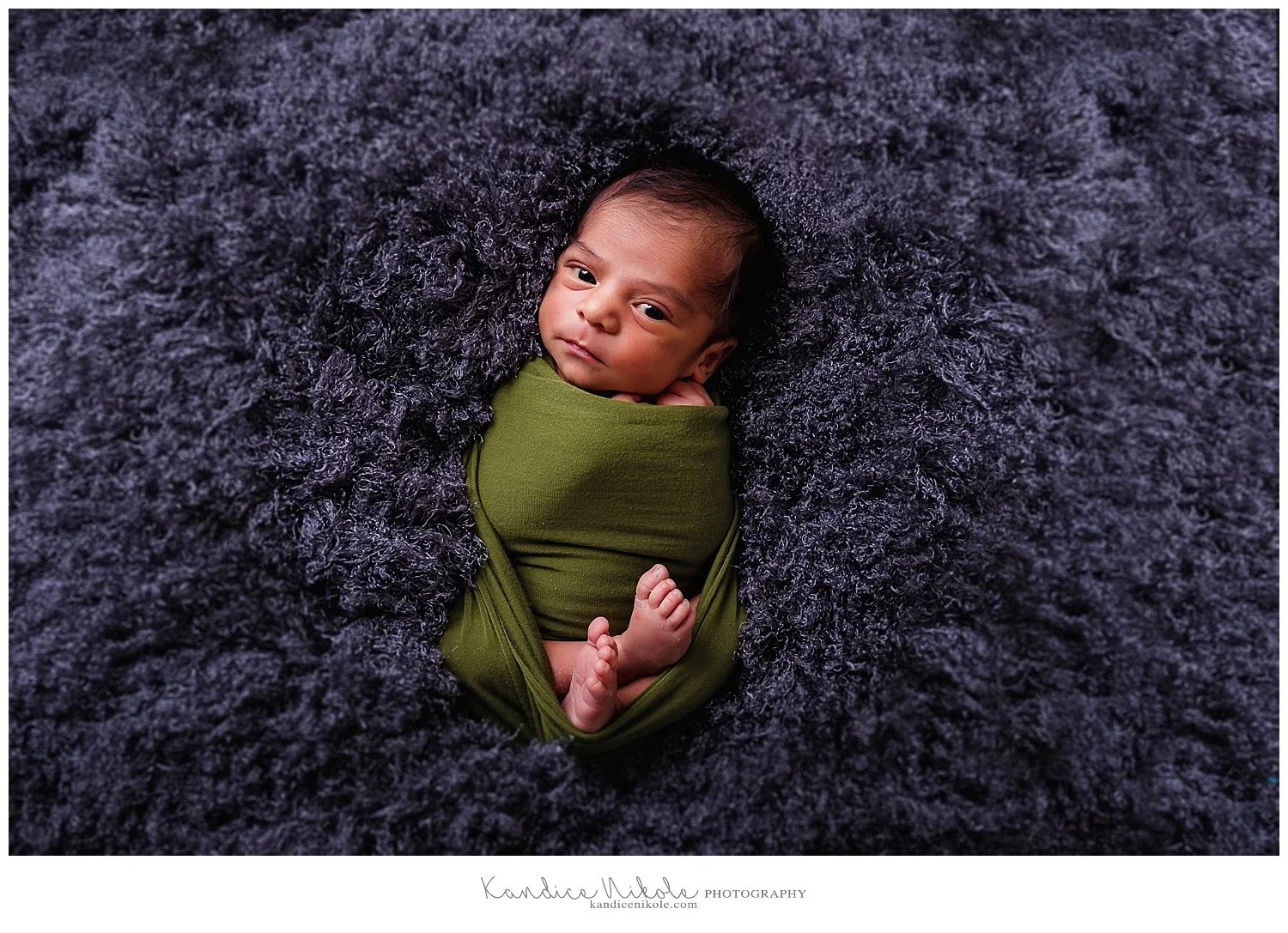 Dreamland Newborn Session
