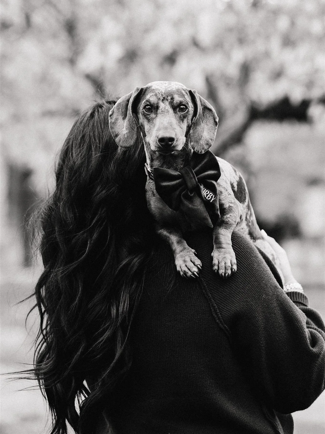Waking yall up with the cutest ever little guy 🐾🤎
