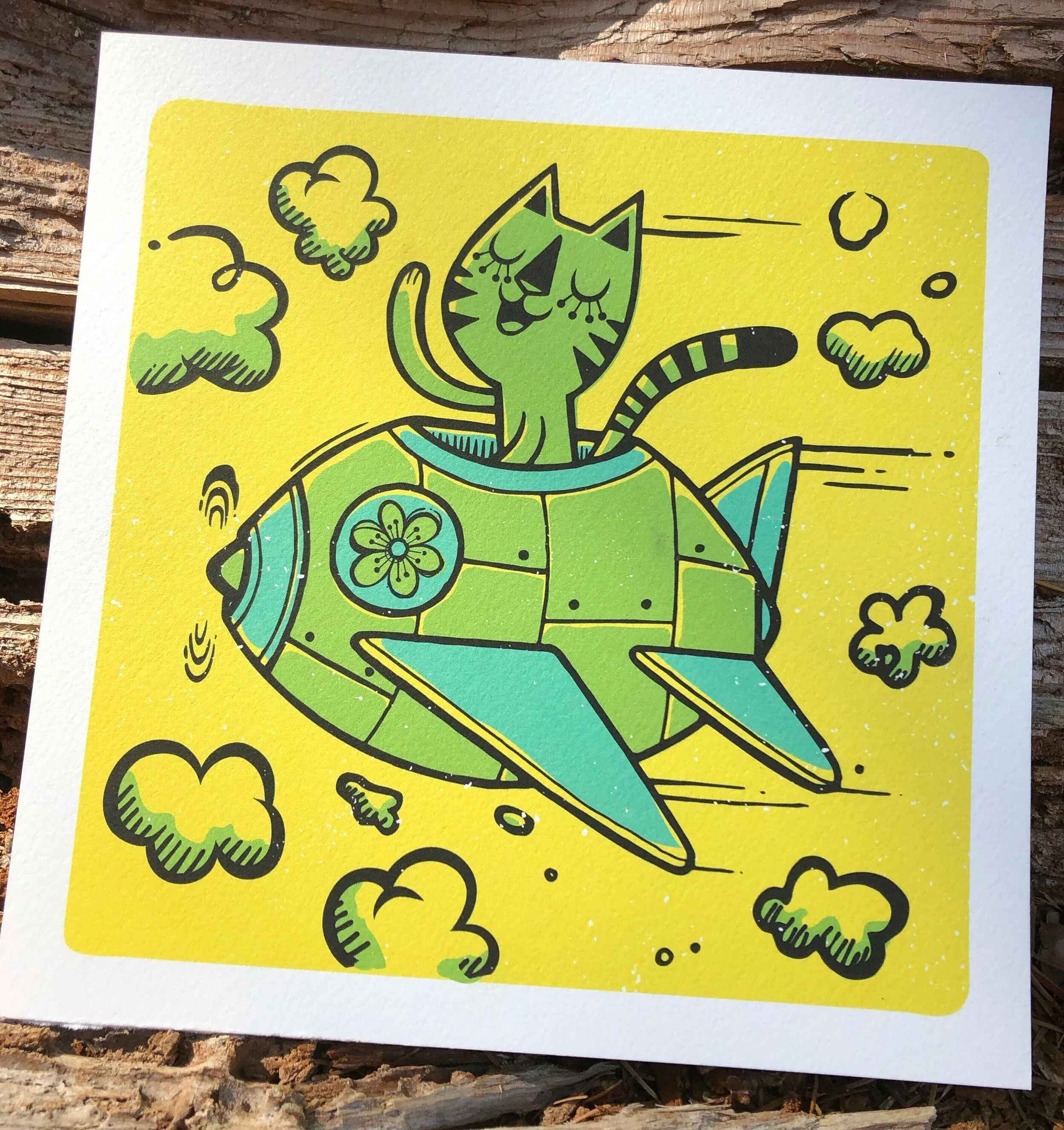 https://i.etsystatic.com/20225009/r/il/805d92/3316799862/il_fullxfull.3316799862_4086.jpg