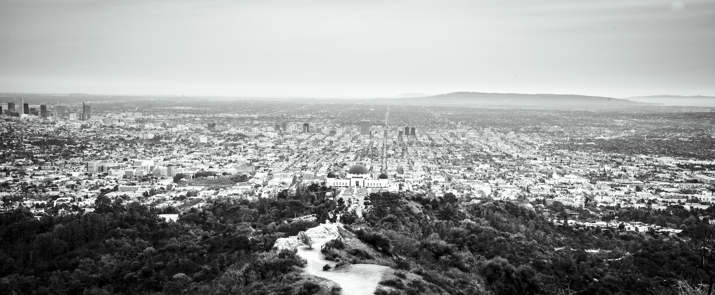GriffithPark_March_2014_0004.jpg