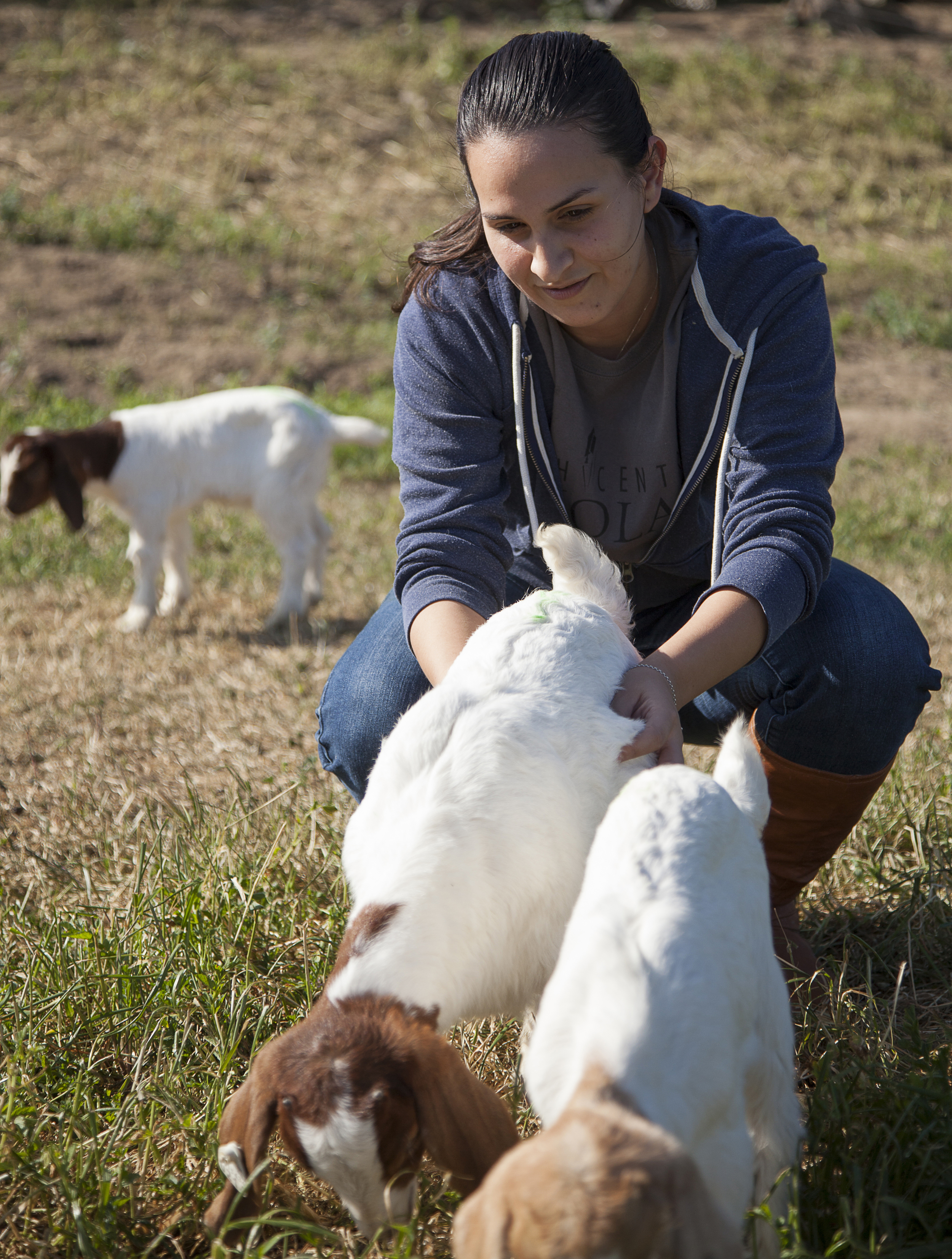  Georgina Martinez looks after two baby goats at the Pierce farm on Friday, March 20, 2015. Woodland Hills, Calif.  Read the full story  here  