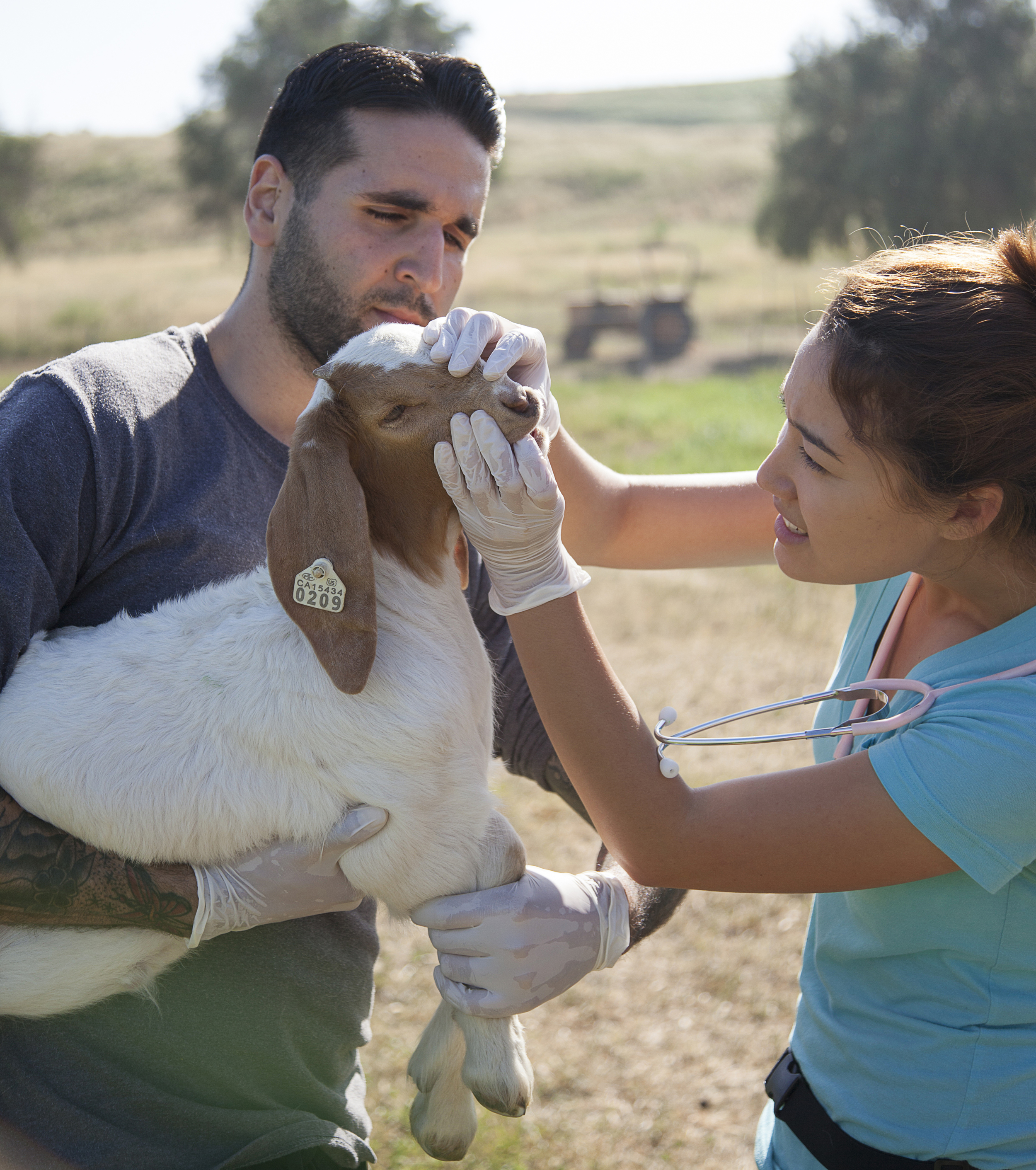  Ben Singh carries a baby goat while Yuri Foreman checks its teeth and gums during a physical exam at the Pierce farm on Friday, March 20, 2015. Woodland Hills, Calif.  Read the full story&nbsp; here  