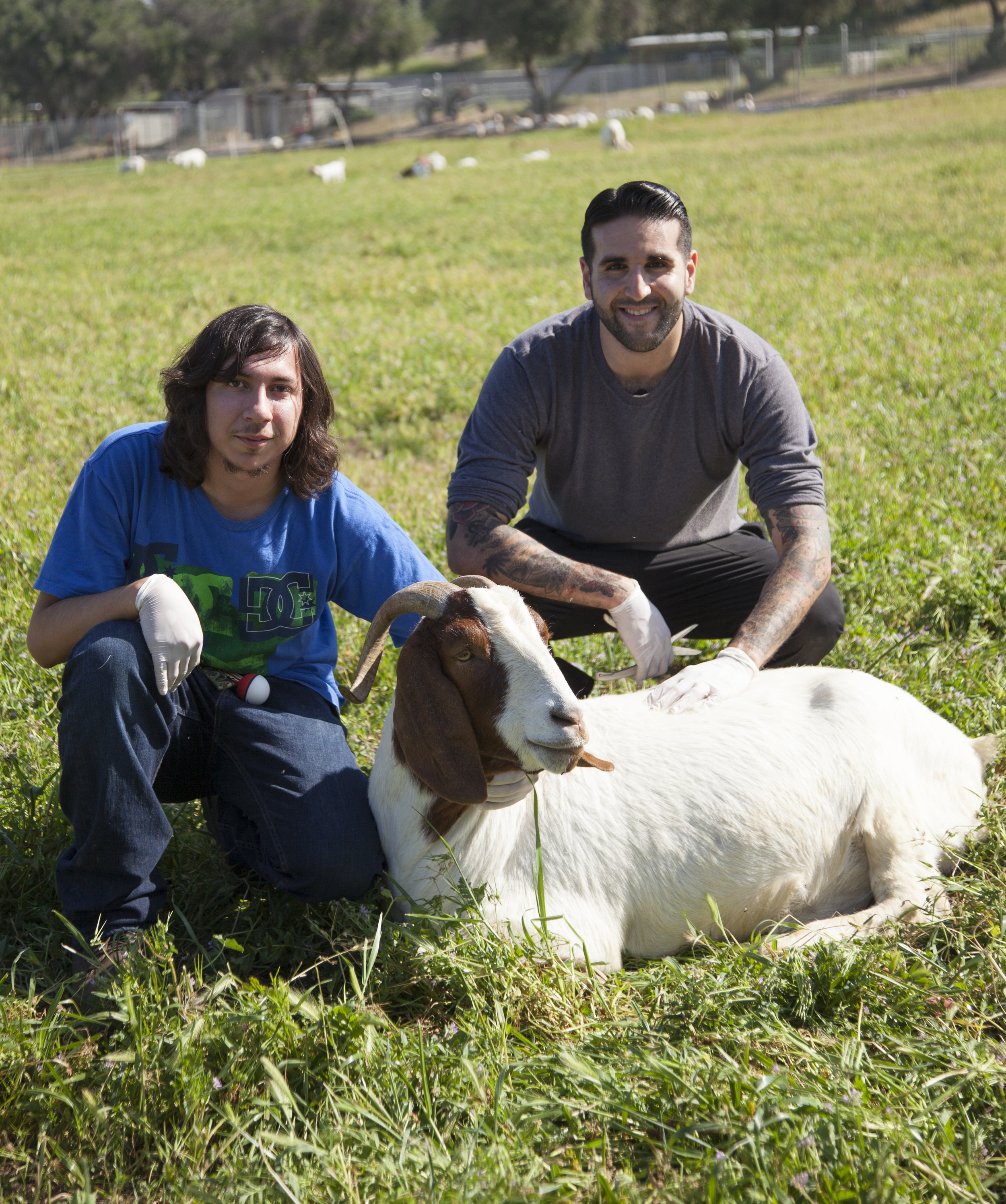  Ivan Barraza and Ben Singh pose for a photo with Flag, the goat, at the Pierce farm on Friday, March 20, 2015. Woodland Hills, Calif.  Read the full story&nbsp; here  