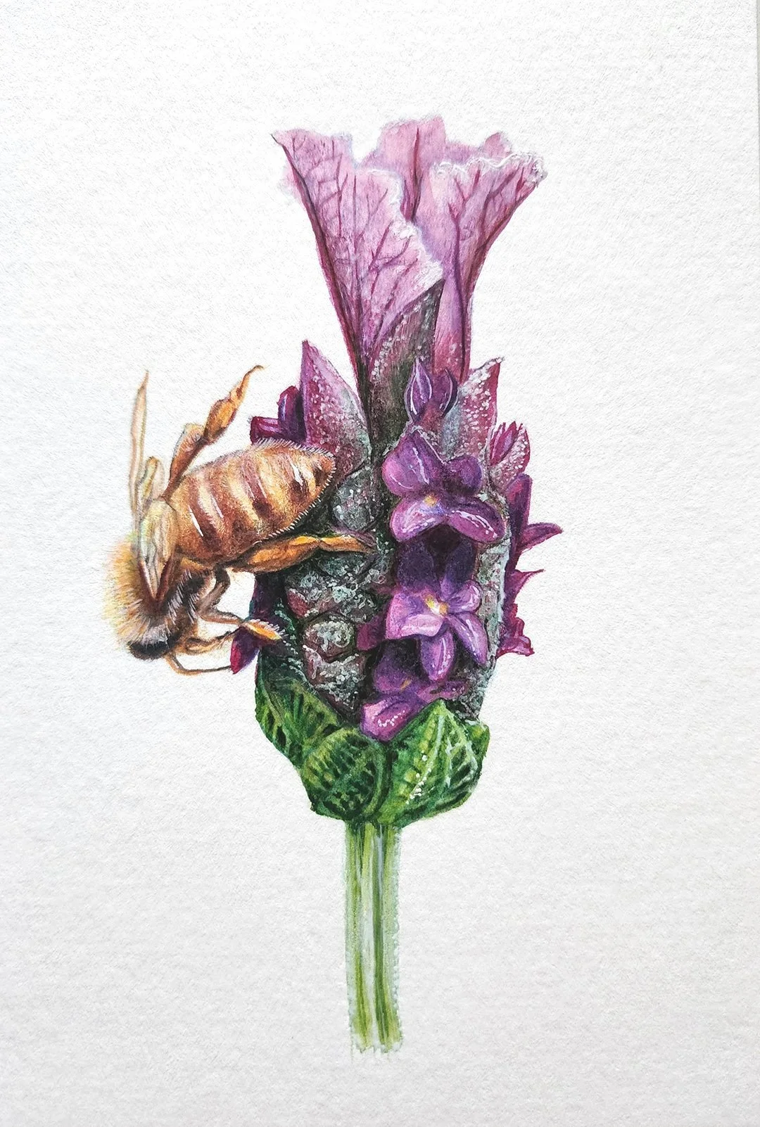 bee+%26+lavender_small.jpg