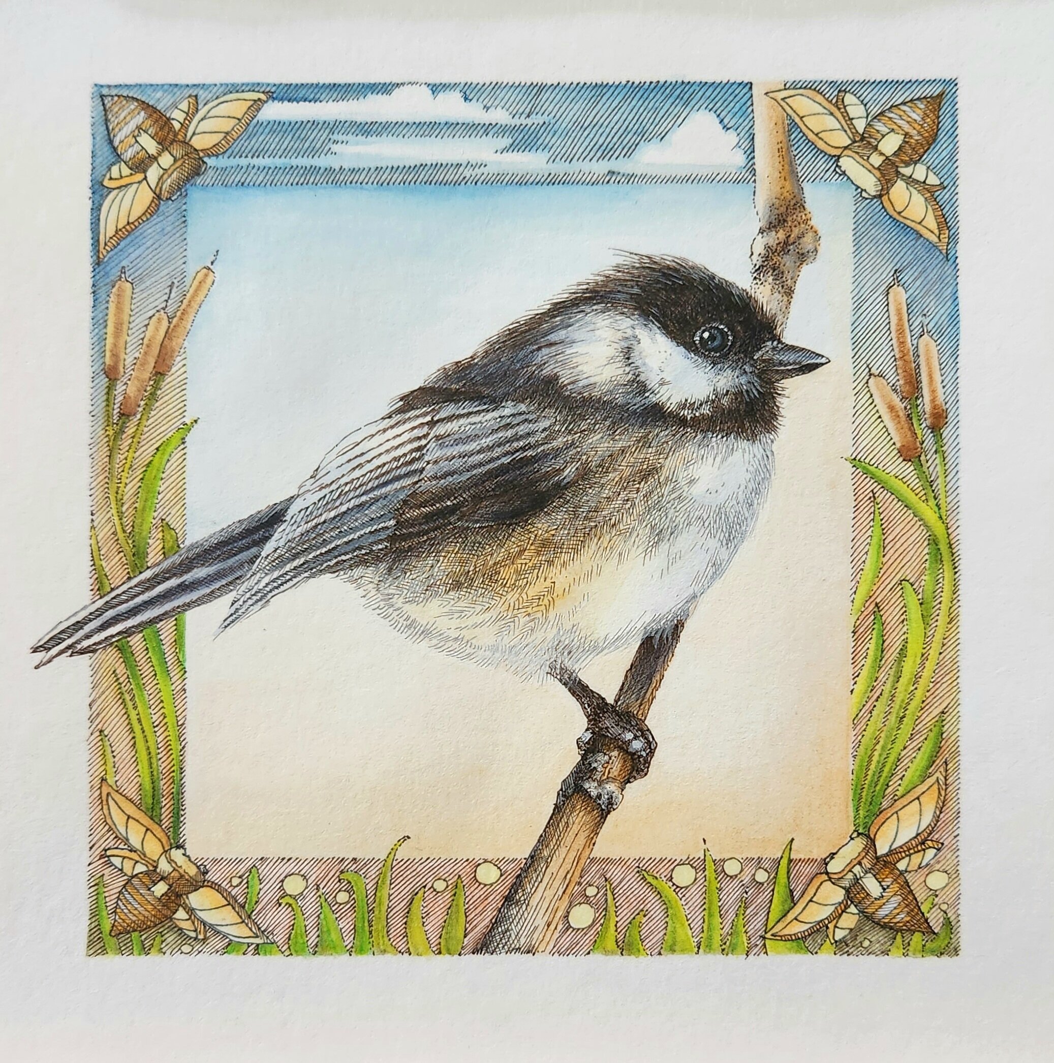chickadee 5x5.jpeg