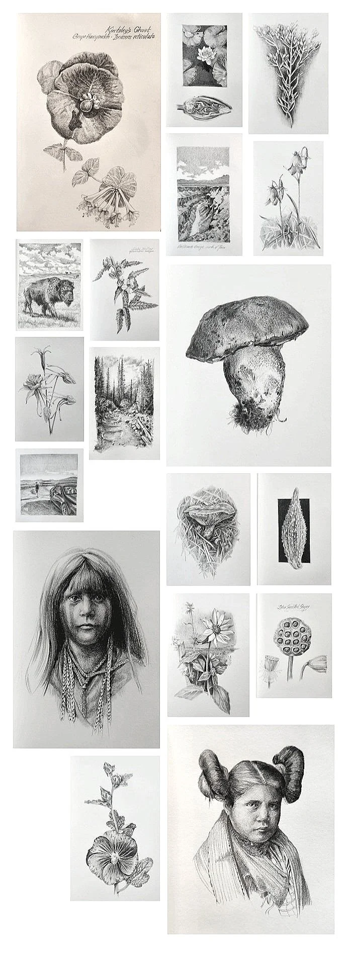 Carbon-pencil-sketches_images.png