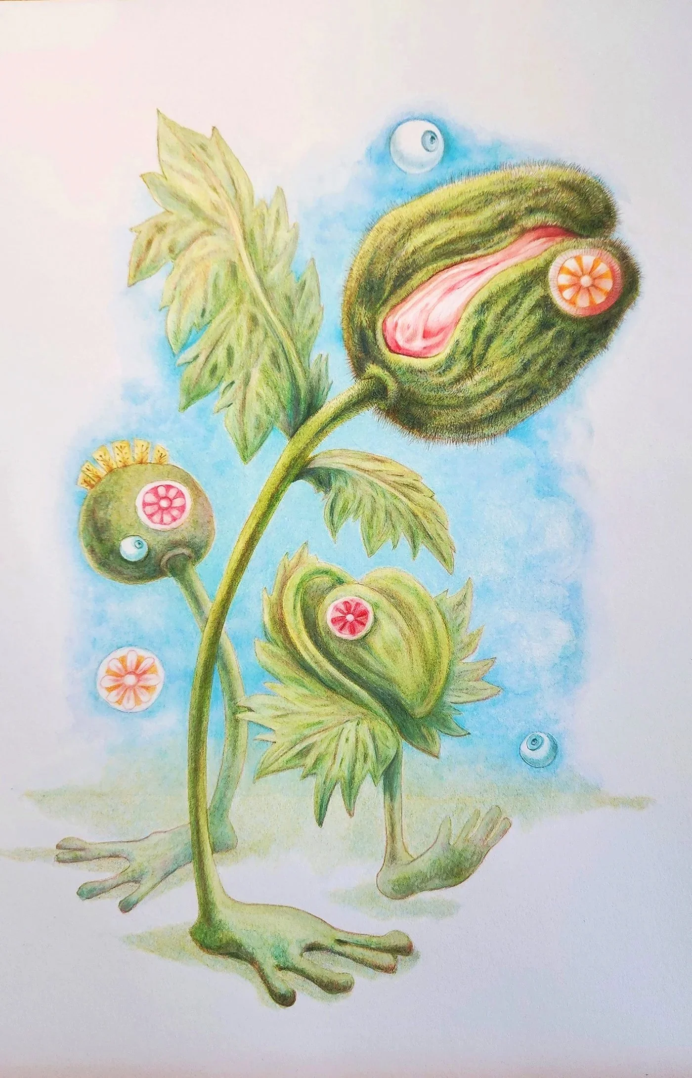 12” x 16” watercolor paper. Faber Castell Polychromos pencil, Caran d’ache Aquarelle, Gouache.