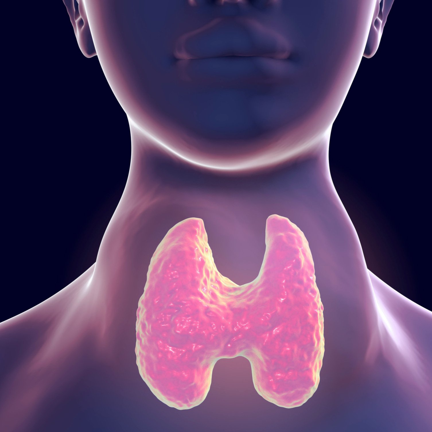 Thyroid Health 