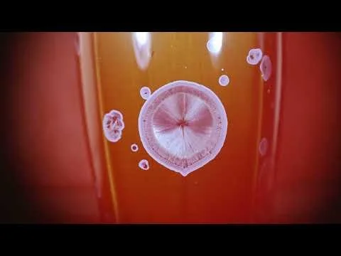 crystalline glaze time-lapse