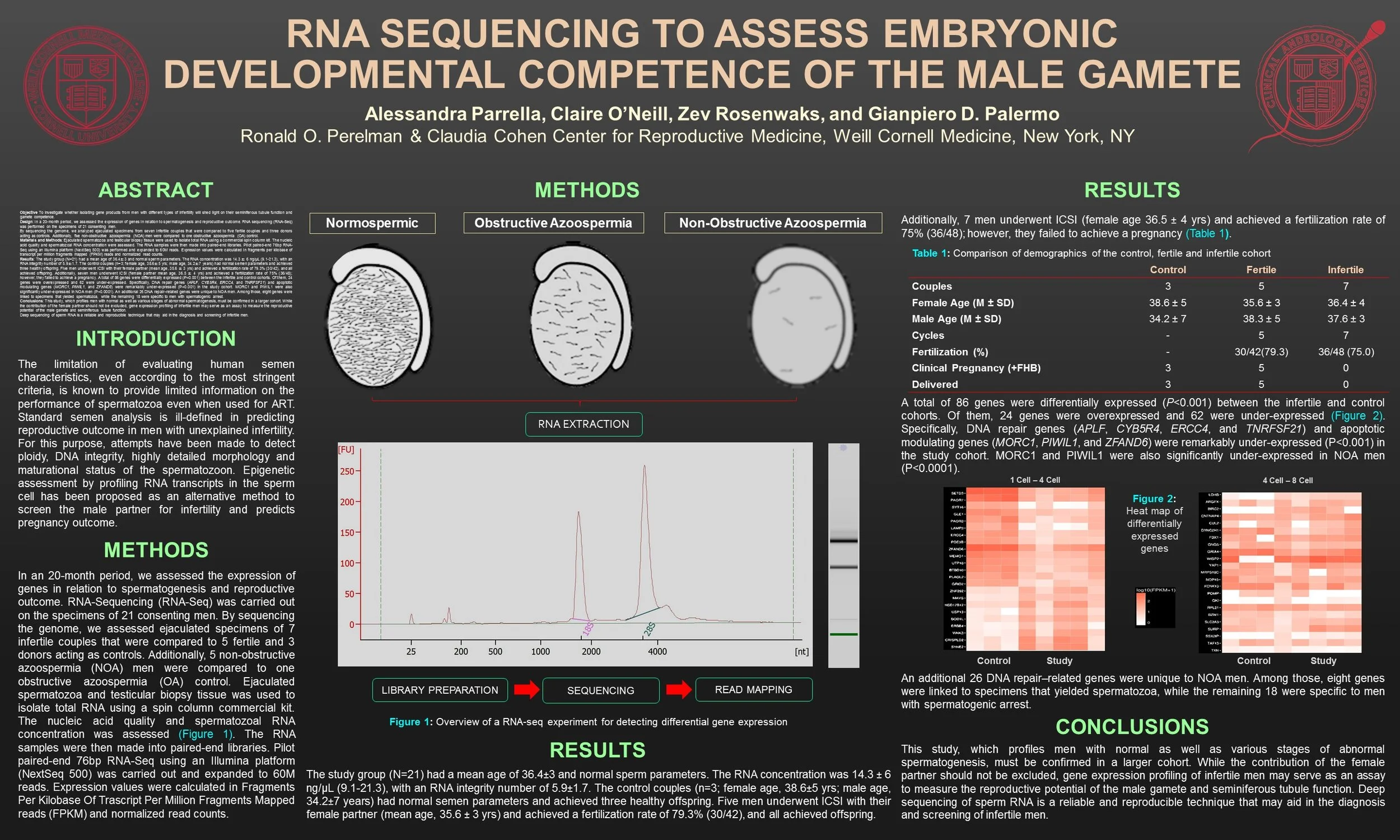 RNA GENE EXPRESSION SC.jpg