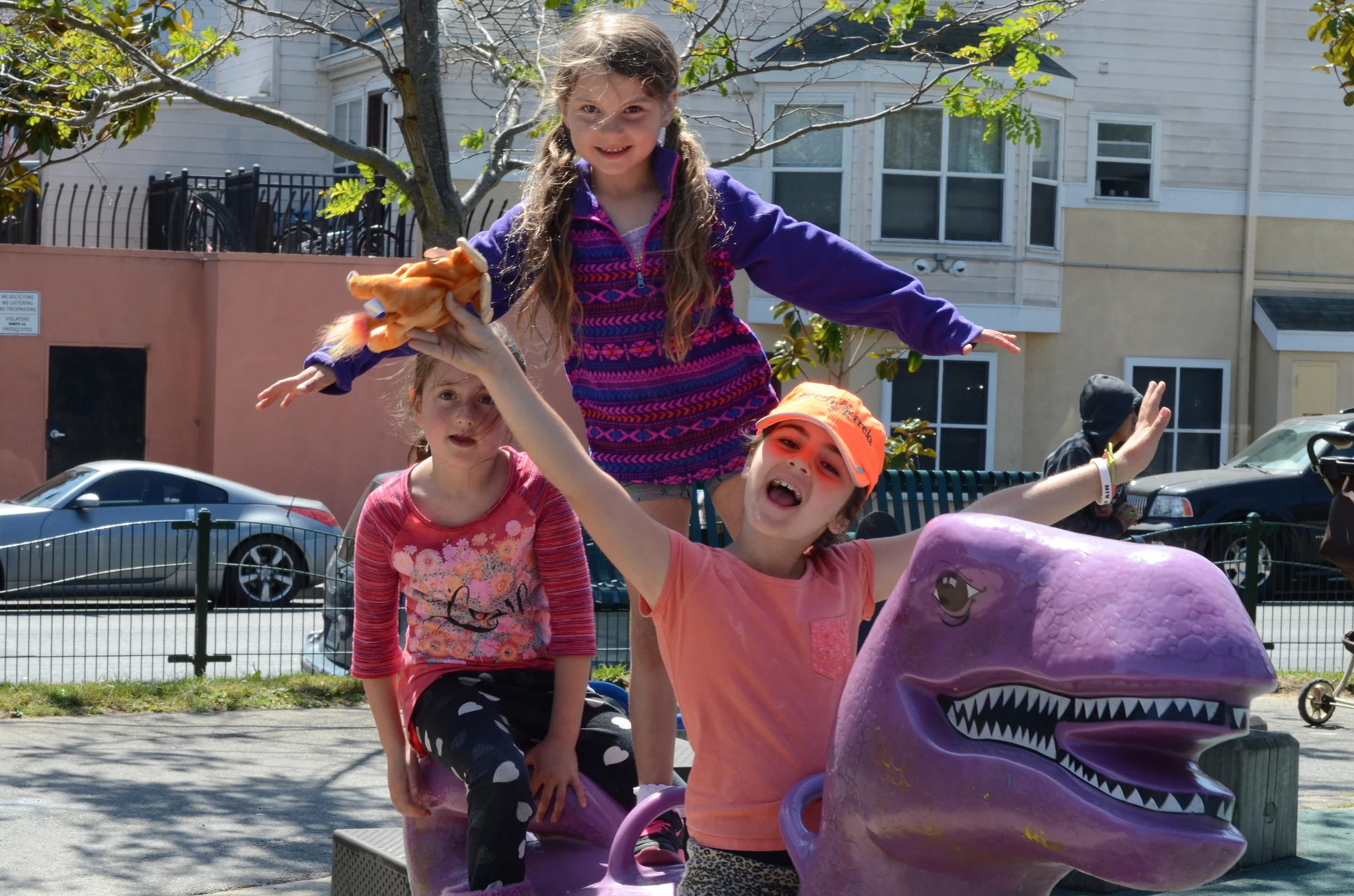 Blog — Tree Frog Treks