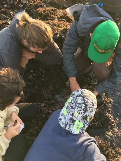 TFT naturalists revealing hidden tide pool creatures!