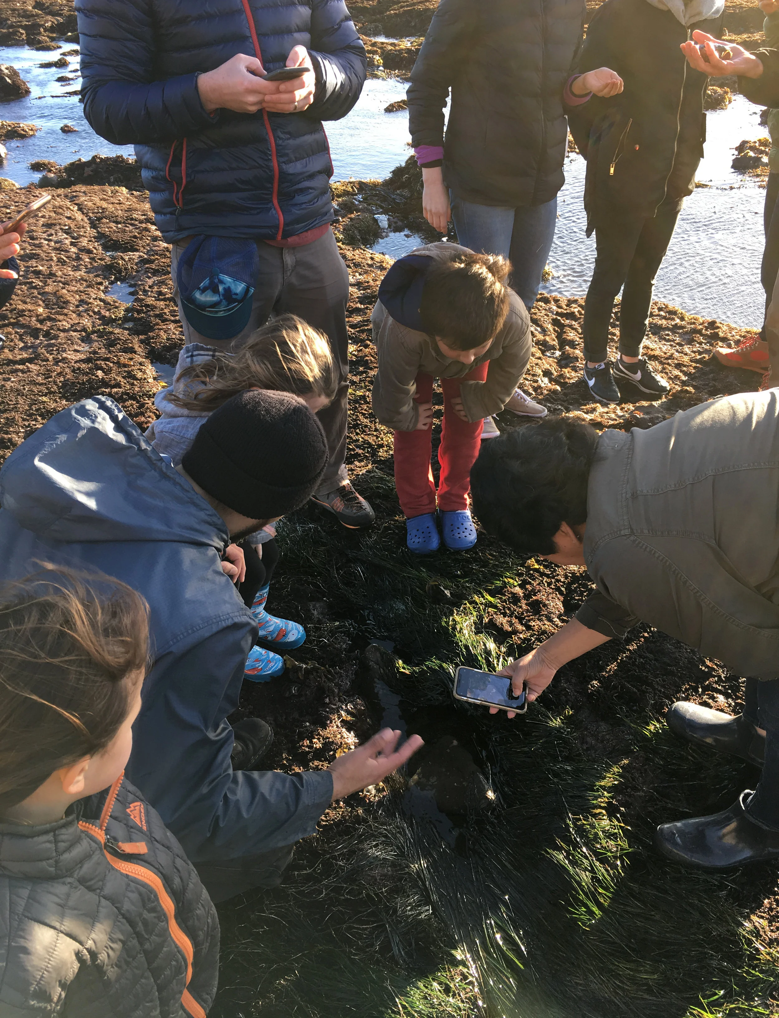 The group gathers for some extra info, photos and more as one of our naturalists (blue jacket+ gesturing hands) discusses nudibranch physiology. 