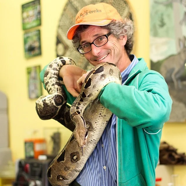 Covid19 Info Tree Frog Treks