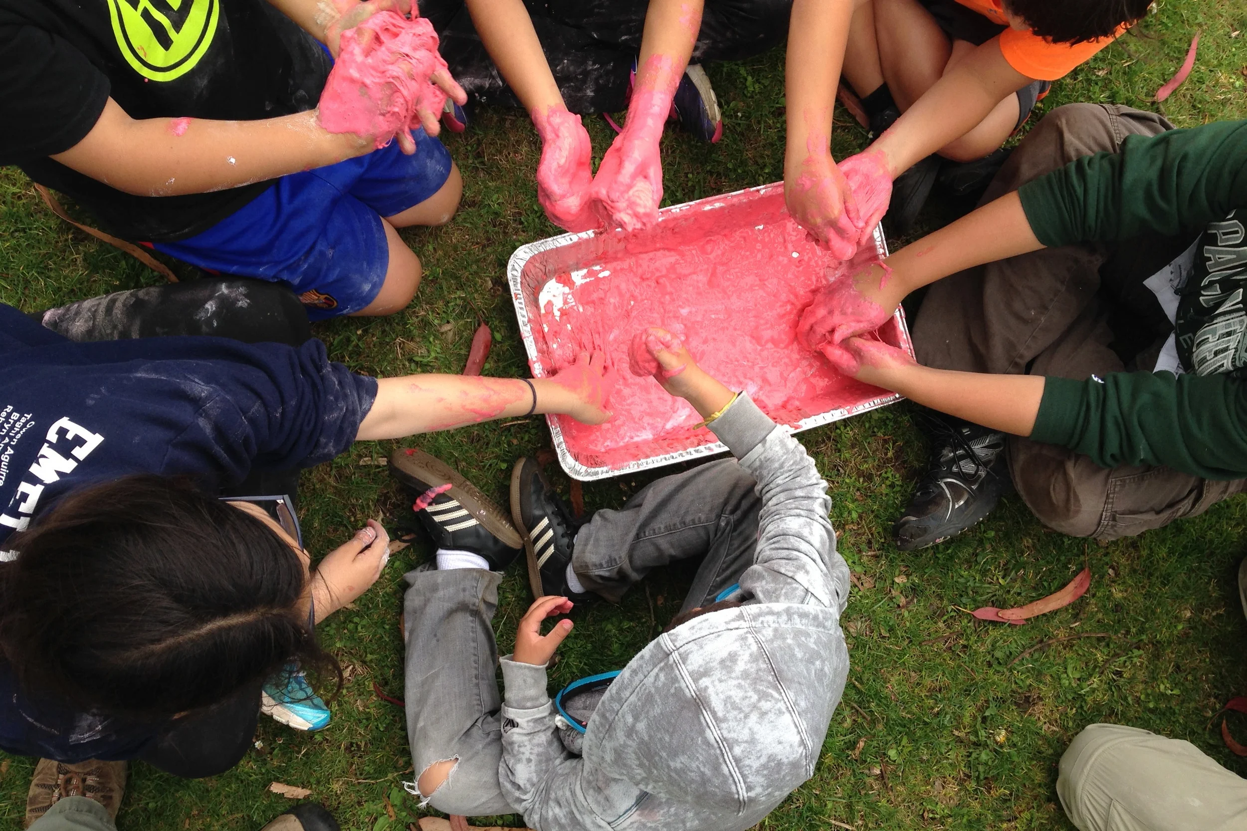 Piedmont Park Summer Camps — Tree Frog Treks