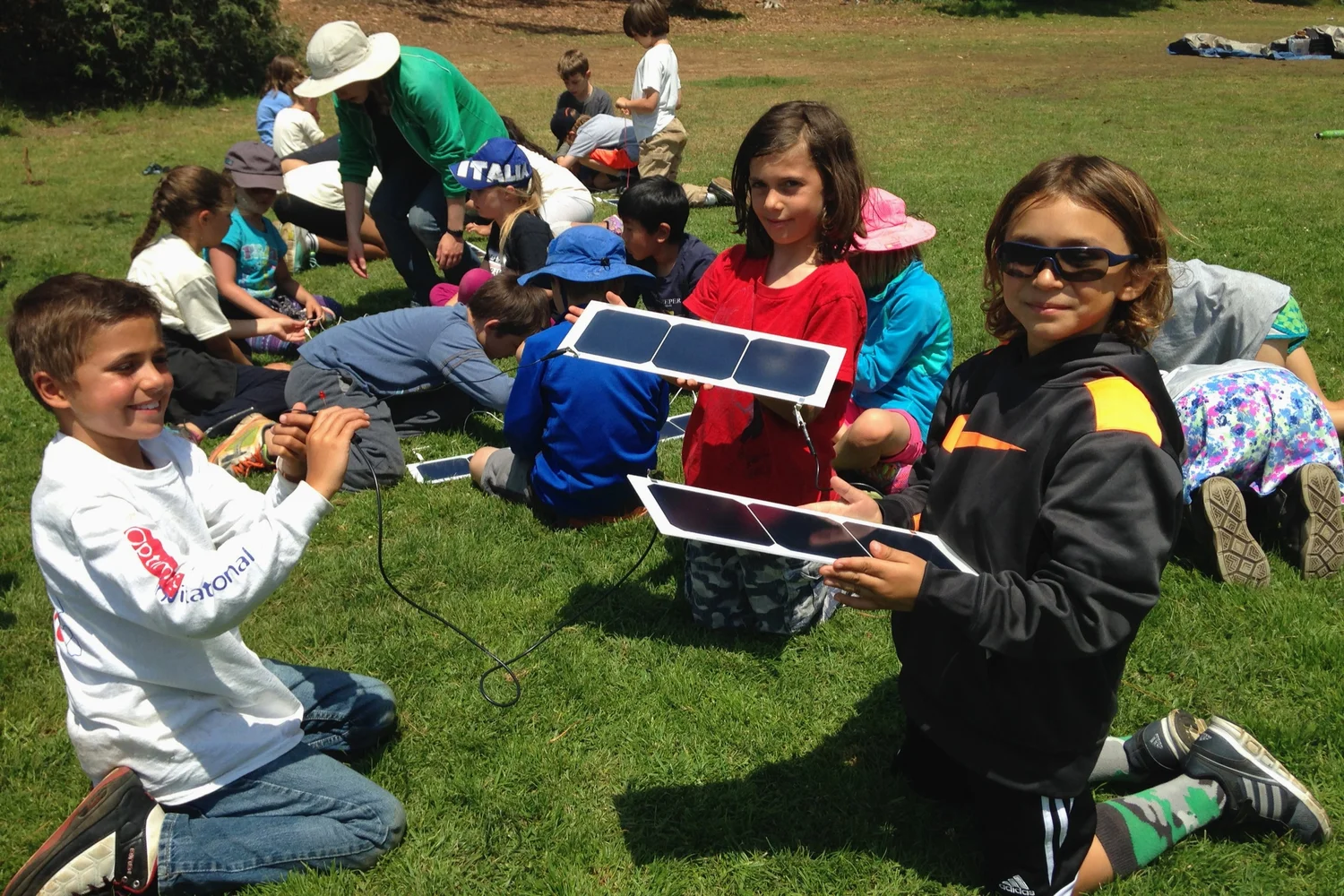 Stern Grove Tree Frog Treks