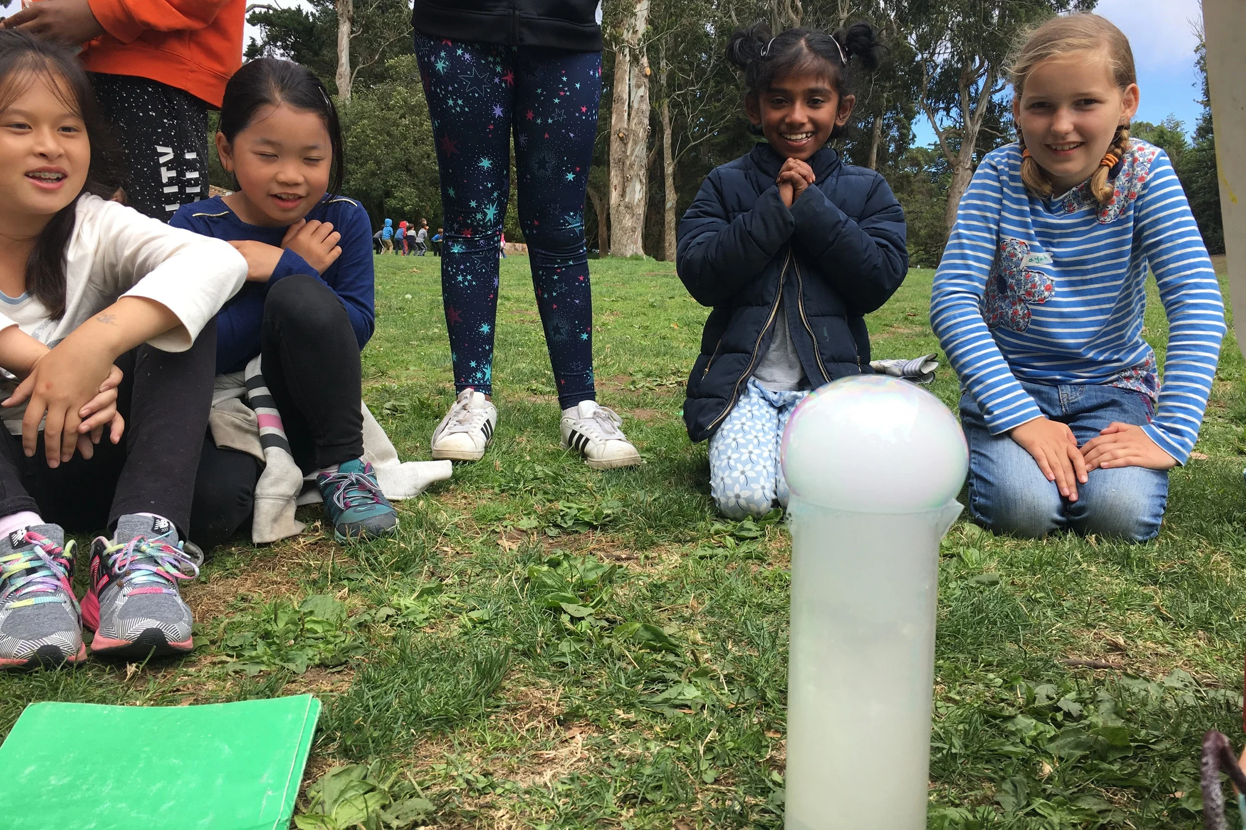 School Break Camps — Tree Frog Treks