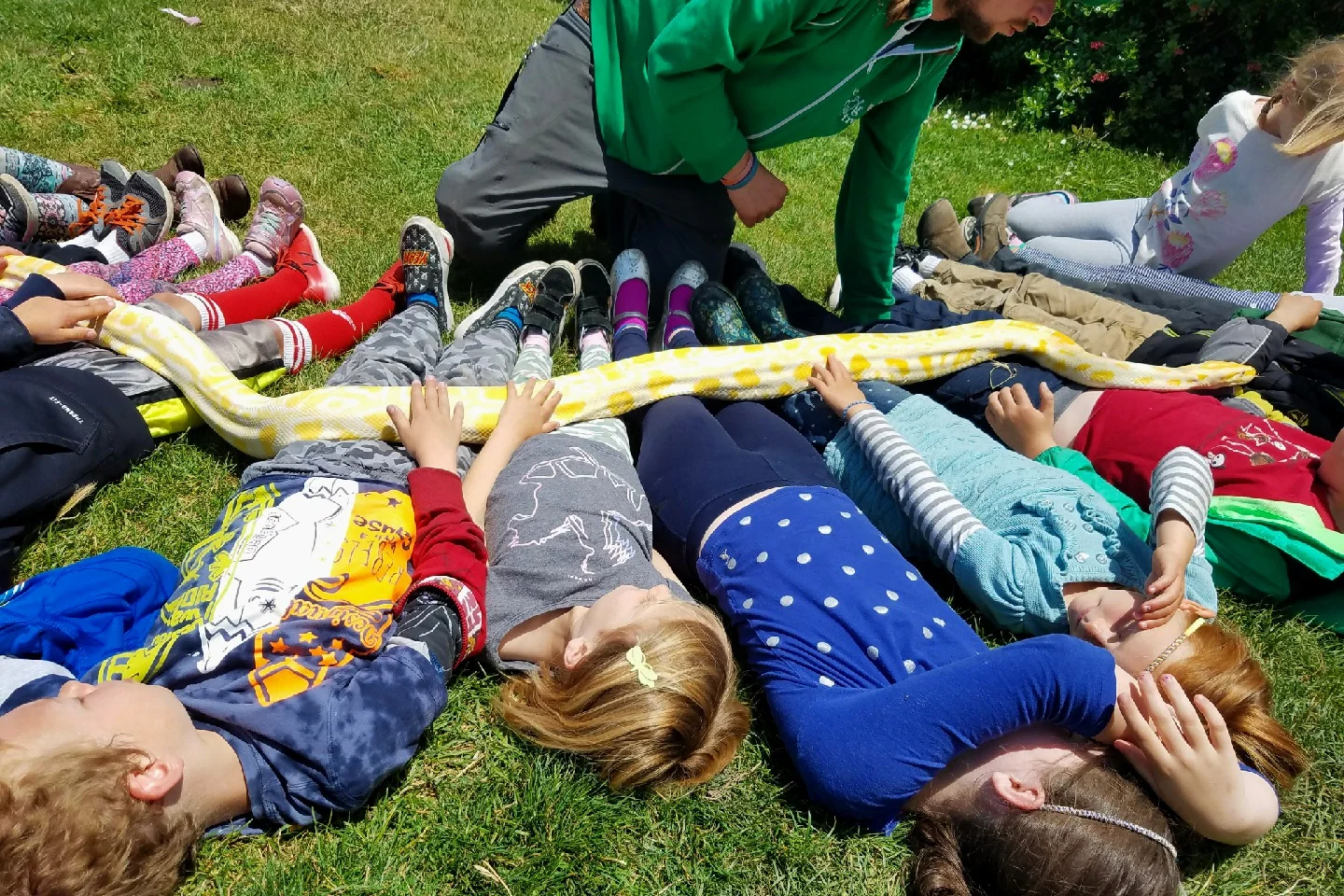 After School Programs Tree Frog Treks