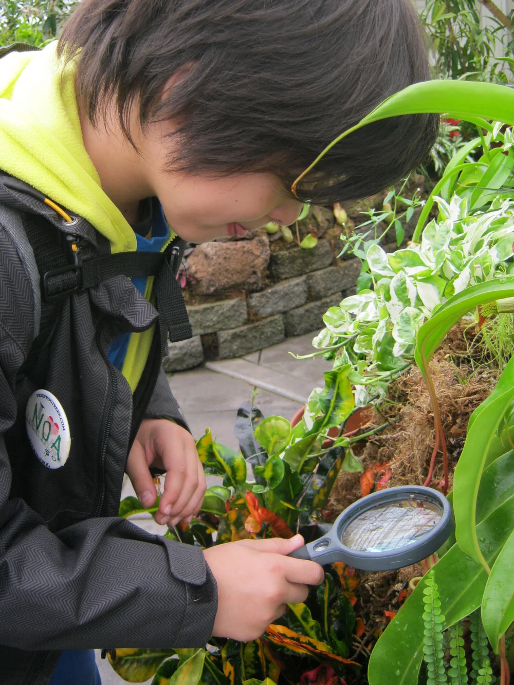 Distance Learning Tree Frog Treks