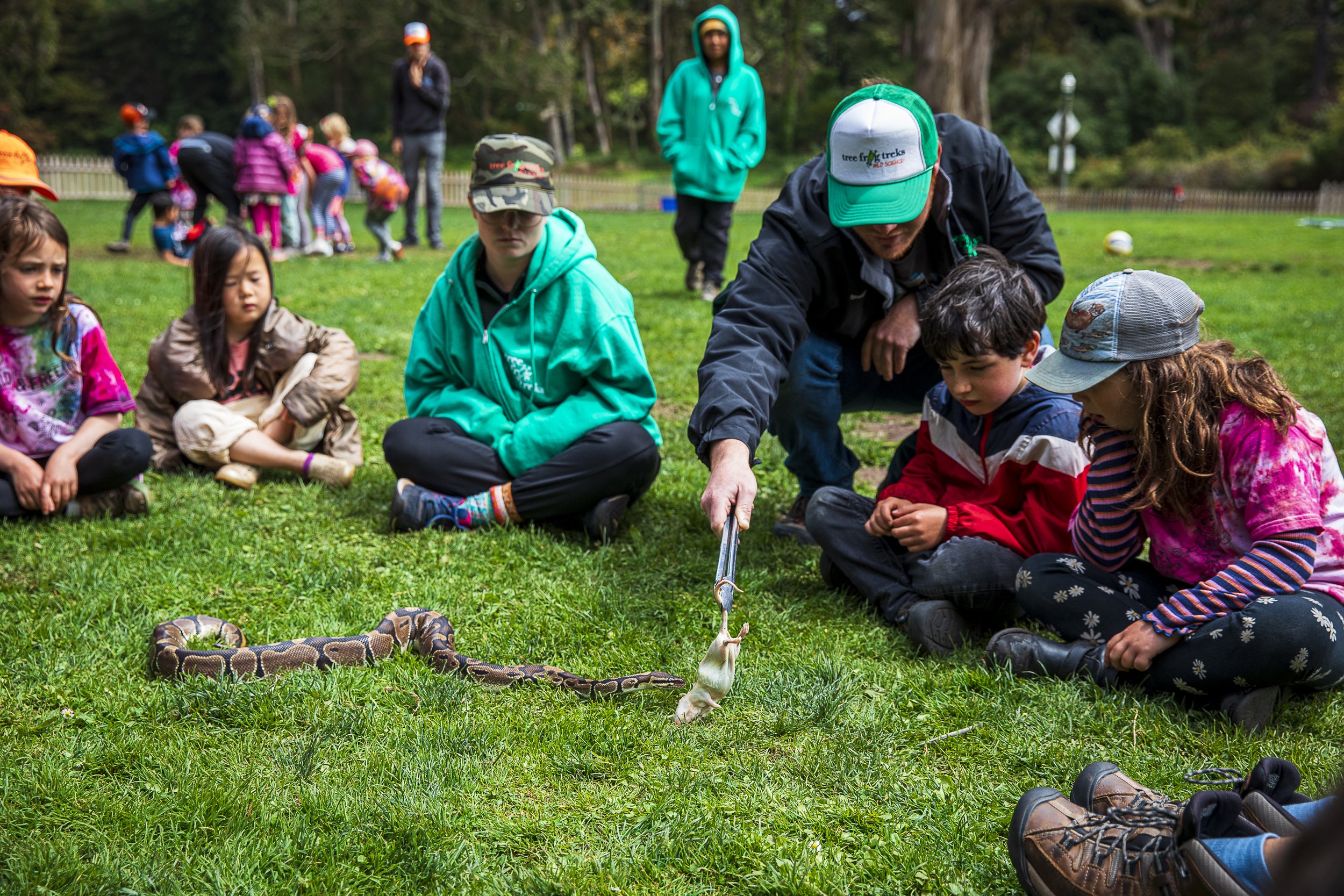 TreeFrogTreks_MG_9454_GayleLaird.jpg