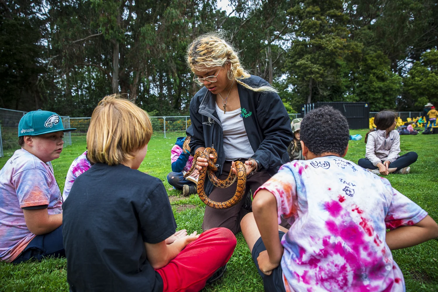 Summer Camp, Outdoor Education, Seasonal Employment — Tree Frog Treks