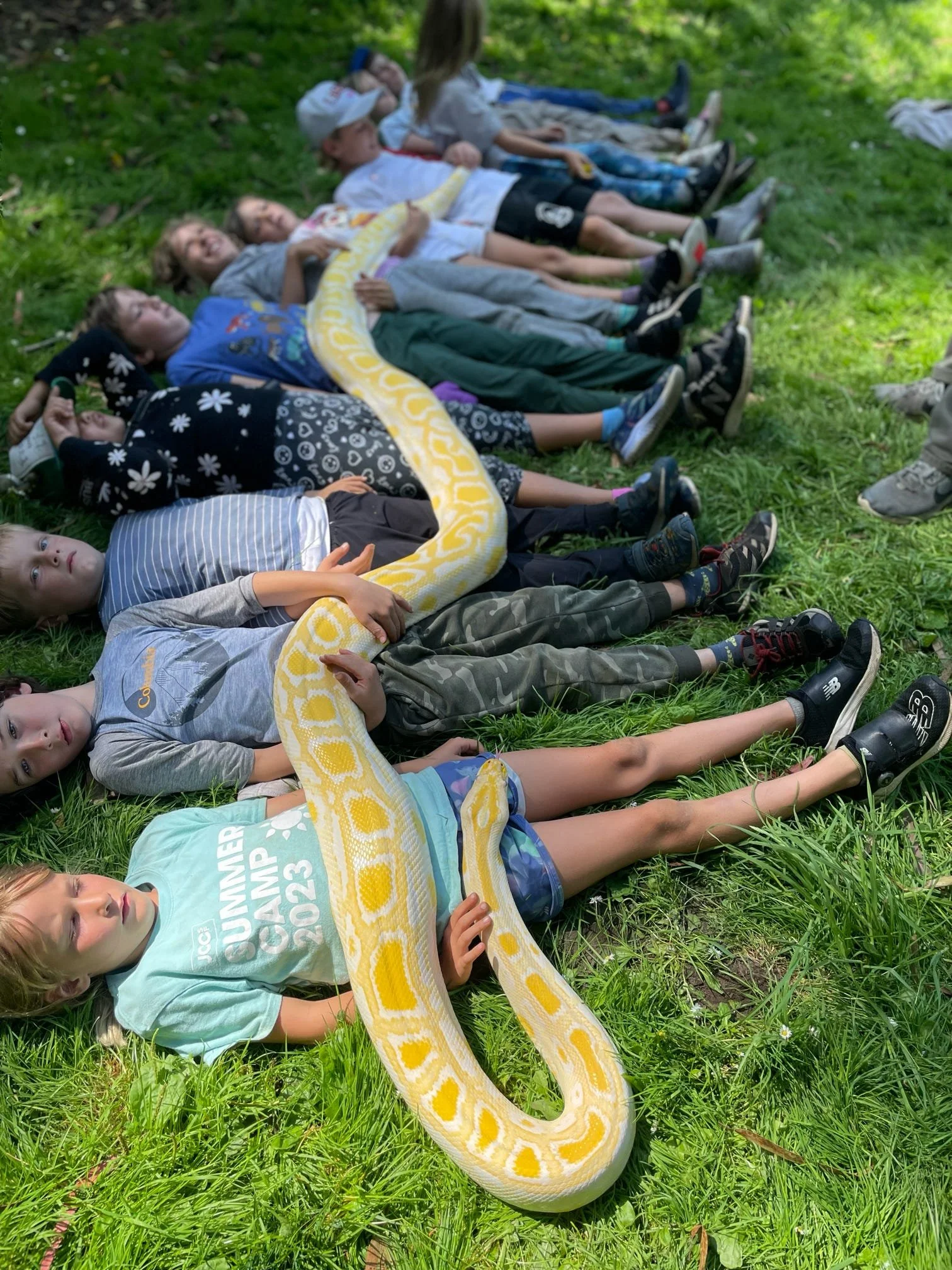 CHIQUITA SUMMER.jpeg