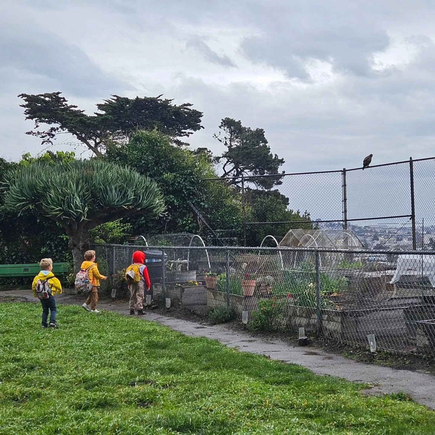 Always a great time at the @randallmuseum !

From hawk-spotting to raccoon wrangling there's always something going on (both indoors and out) at Tree Frog Treks! 

Summer 26' registration is now open and we have a ton of fun cool events coming up - c