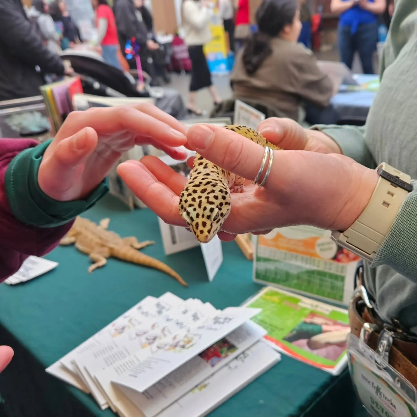 A great time had by all at the Summer Resource Fair! Thanks to @sf_dcyf for putting it on, we had a blast!

If you missed us never fear, we will be running a table next Saturday (February 28th) at the District 10 Summer Resource Fair as well! (11-2 @