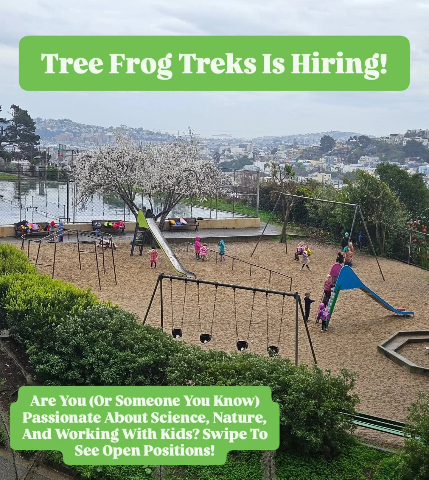 We're hiring!

If you (or someone you know) are a perfect fit for Tree Frog Treks, applications are now open for Summer 2026!

For more information and to apply check out our website (link in bio).

🐸🦎🐍

#sf #sanfrancisco #bayarea #summercamp
#get