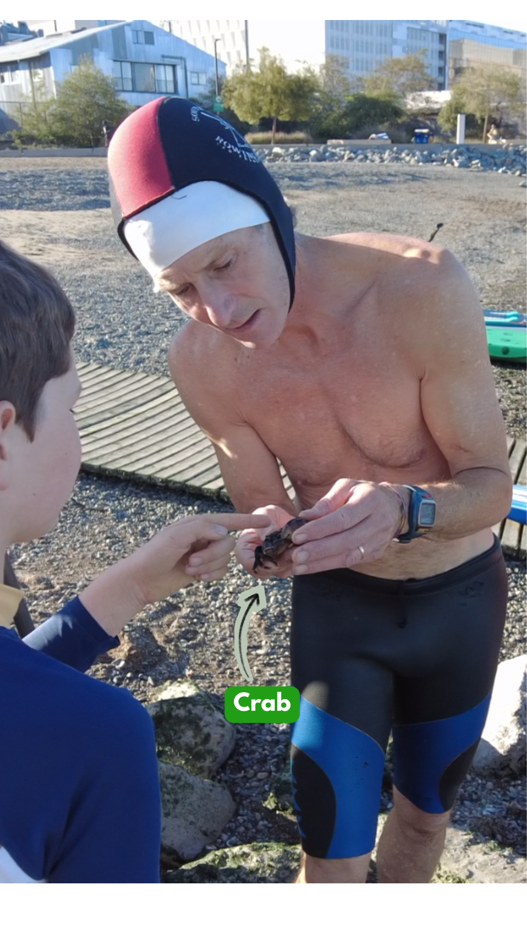 CK crab 2.png