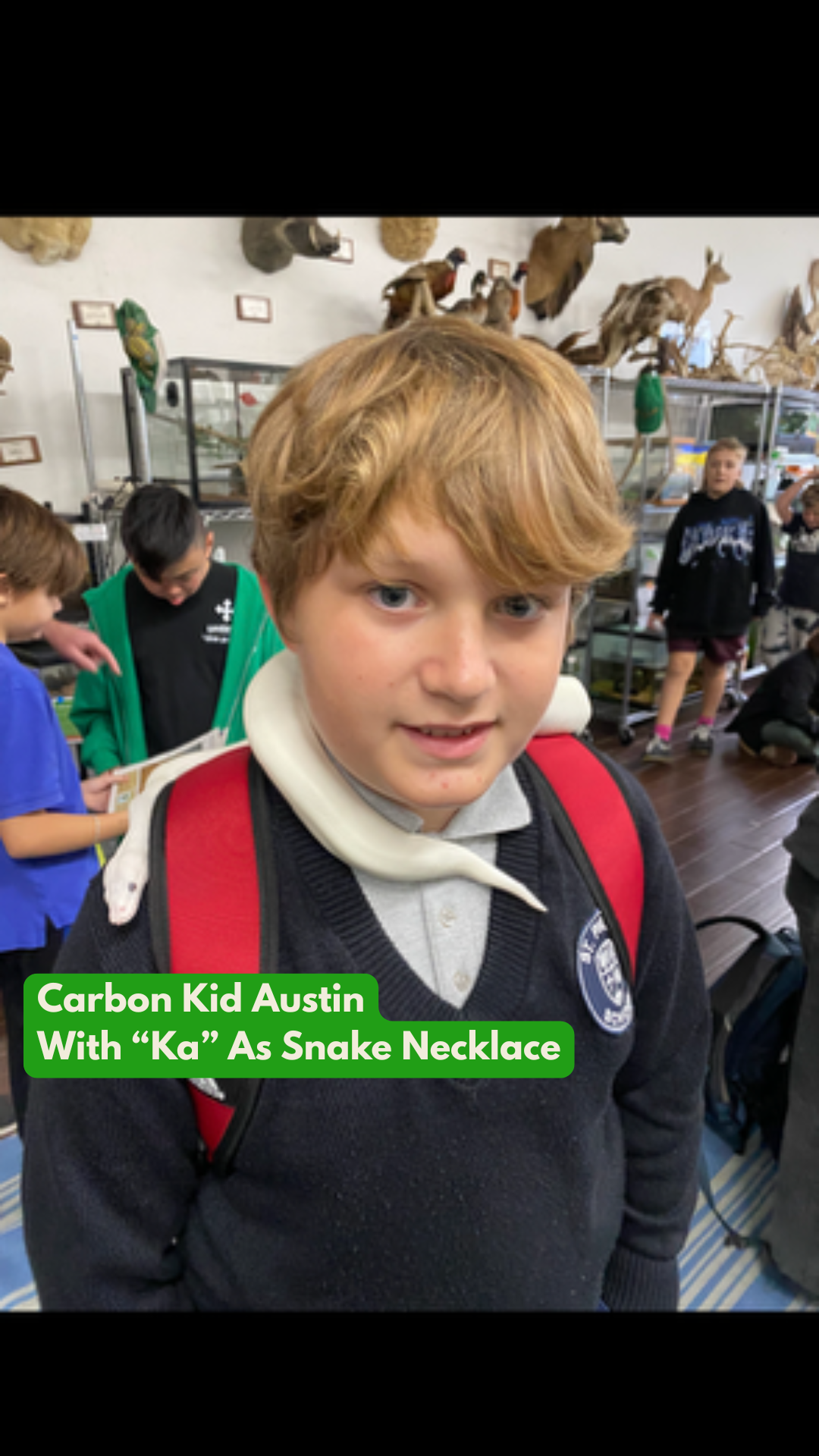 CK Austin 2.png