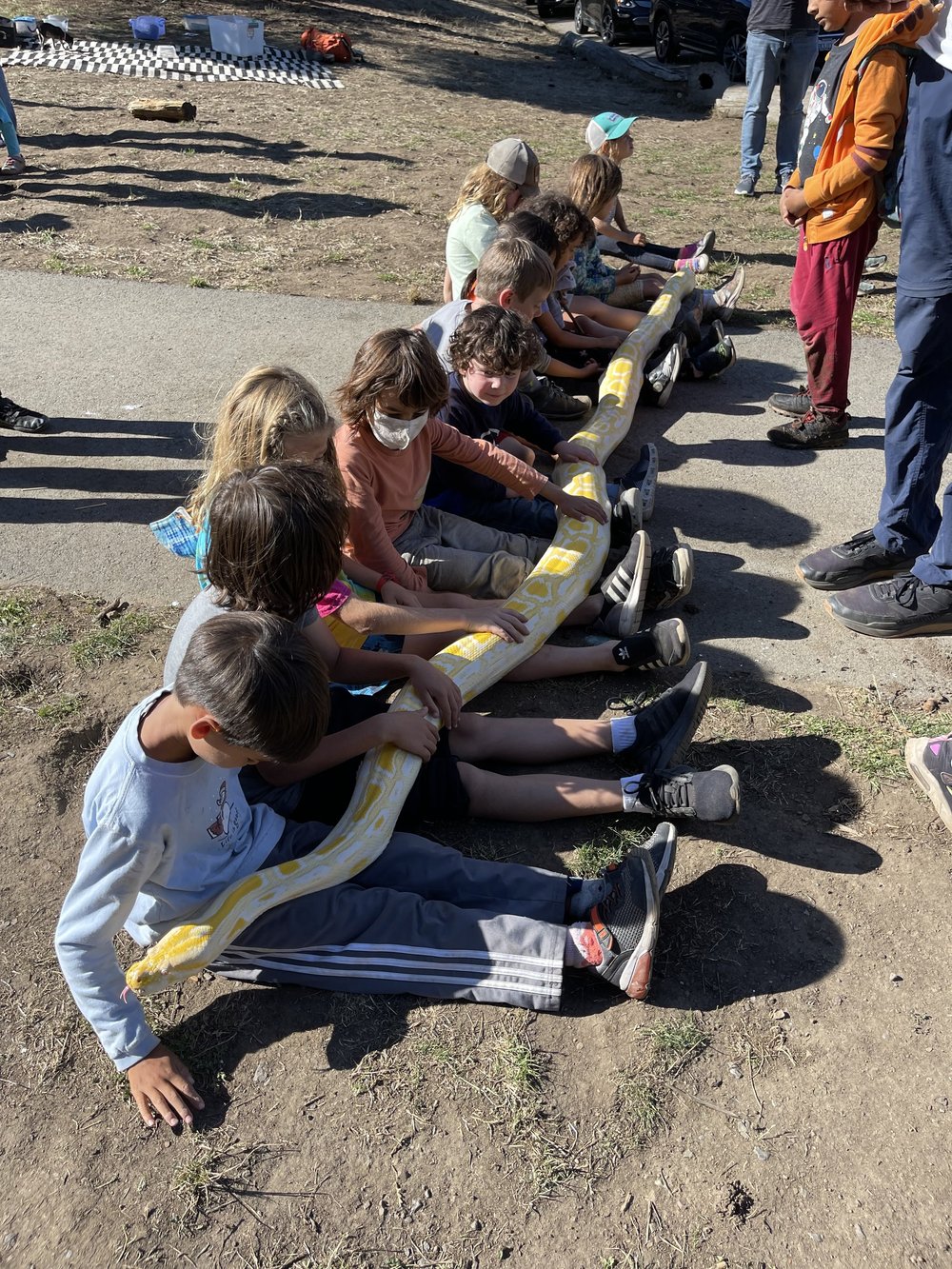 Summer CIT Program — Tree Frog Treks