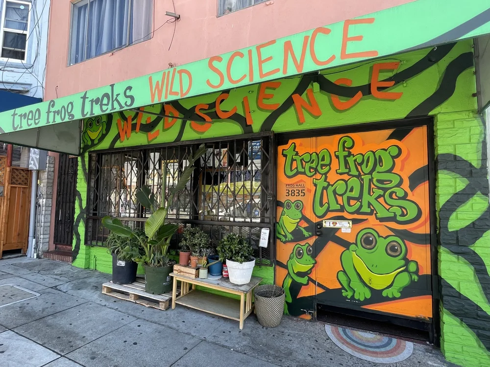 Summer Camp, Outdoor Education, Seasonal Employment — Tree Frog Treks