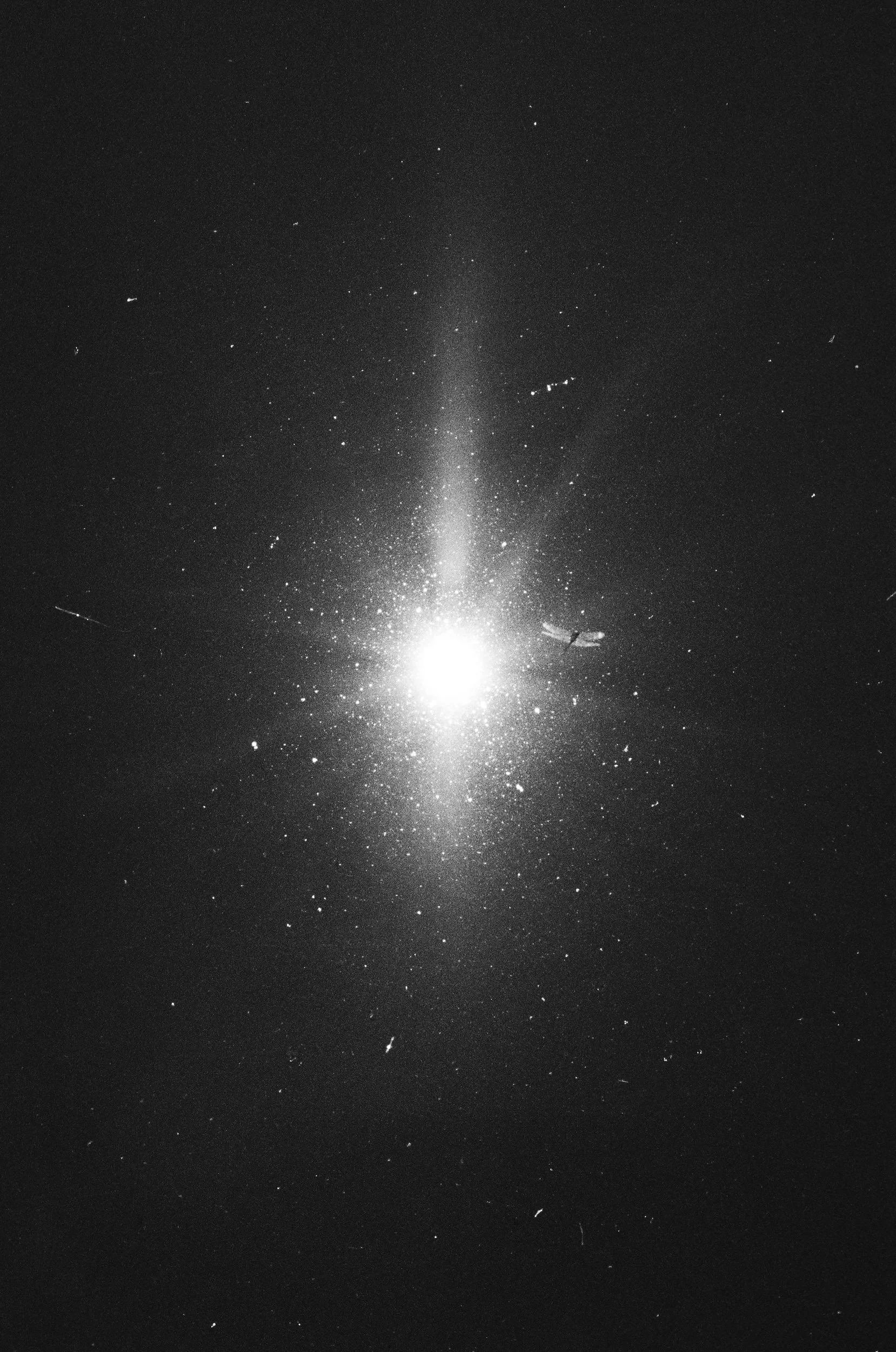 Natasha Curato-05.JPG