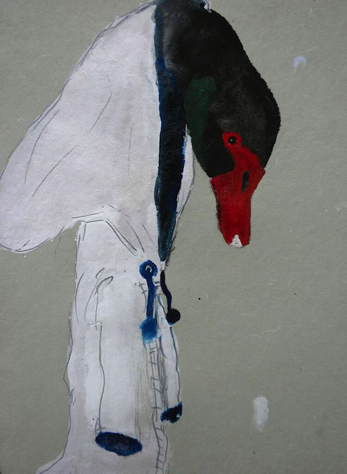 Blanche the Black Swan, 2014 10 x 12" gouache, oil stick and graphite on hand made rag paper